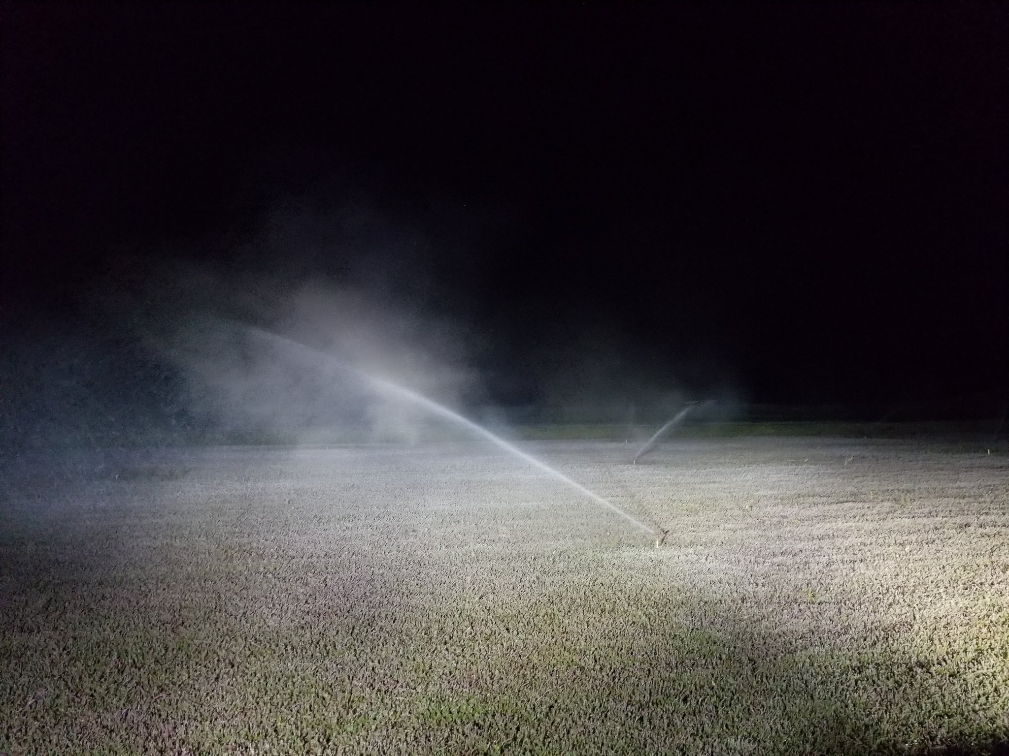 20180929_034540.jpg