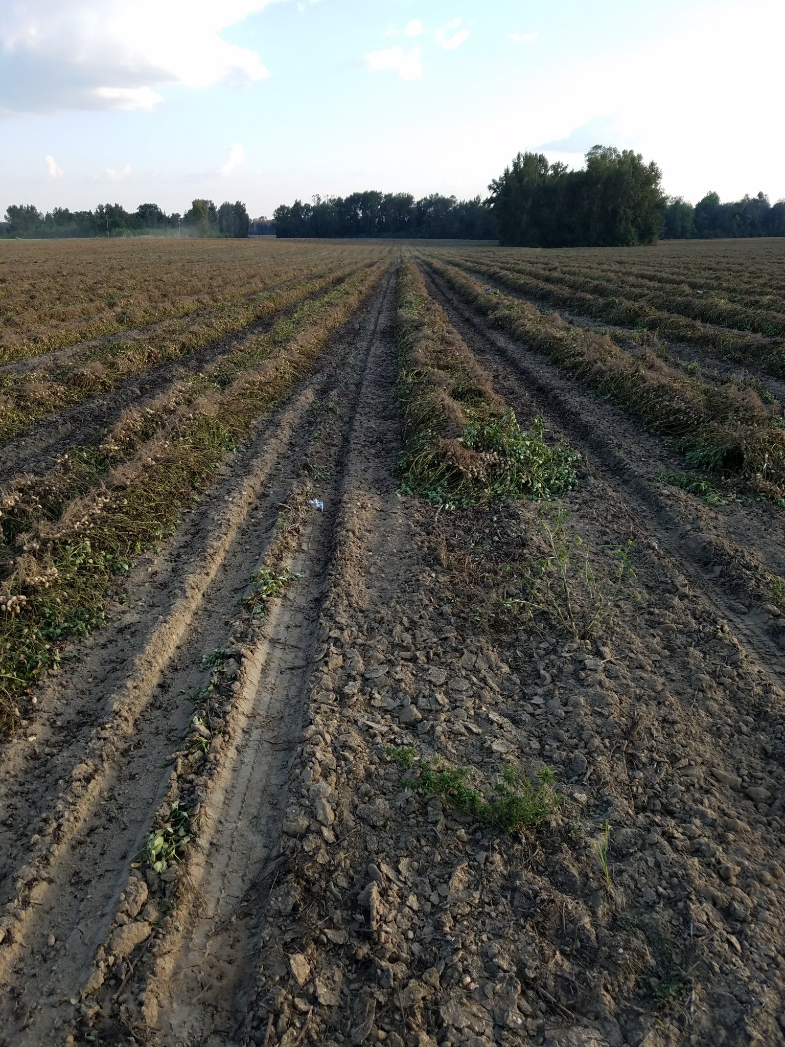 20181005_172331.jpg