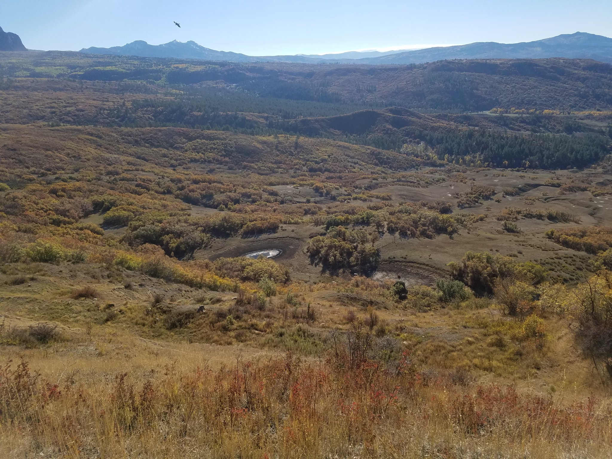 20181016_095100.jpg