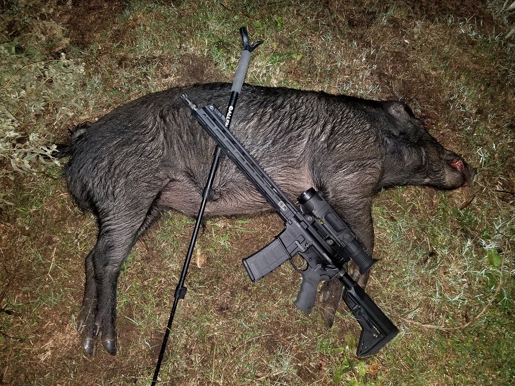 20181021 Boar Meadow.jpg