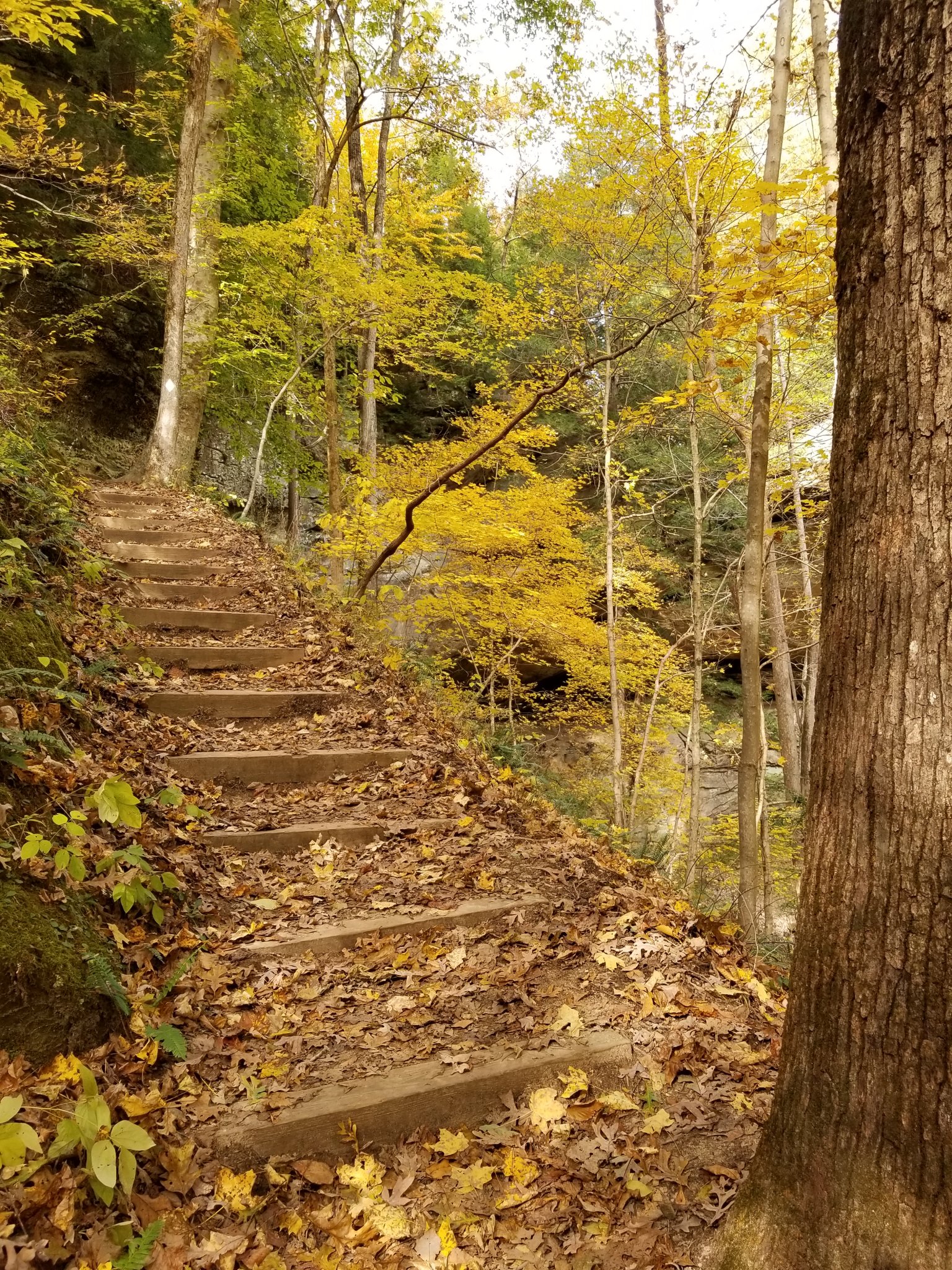 20181030_135750.jpg