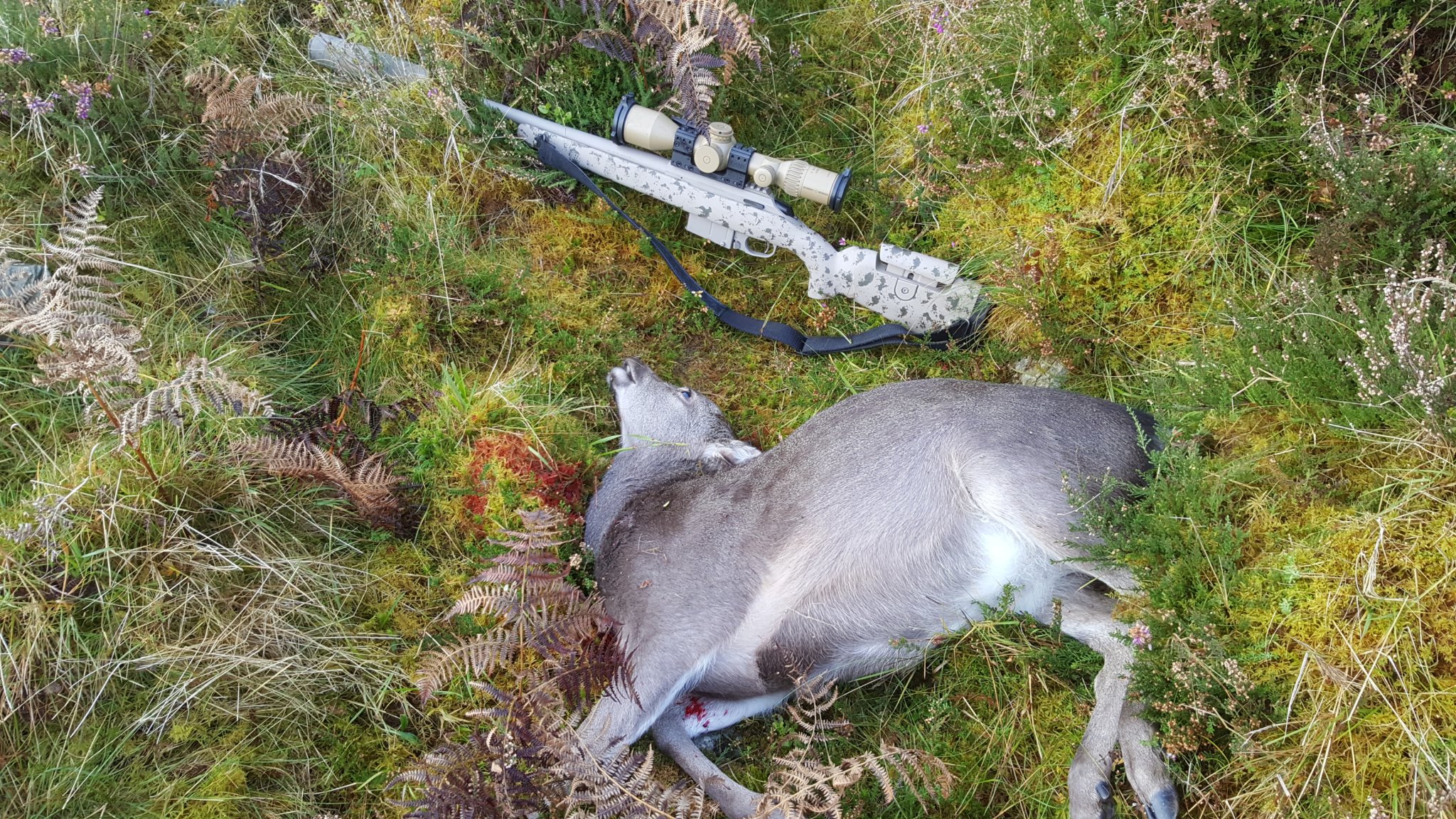 20181104_110109.jpg