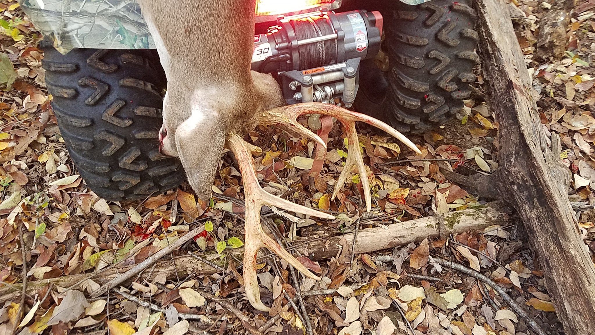 20181105_100823.jpg