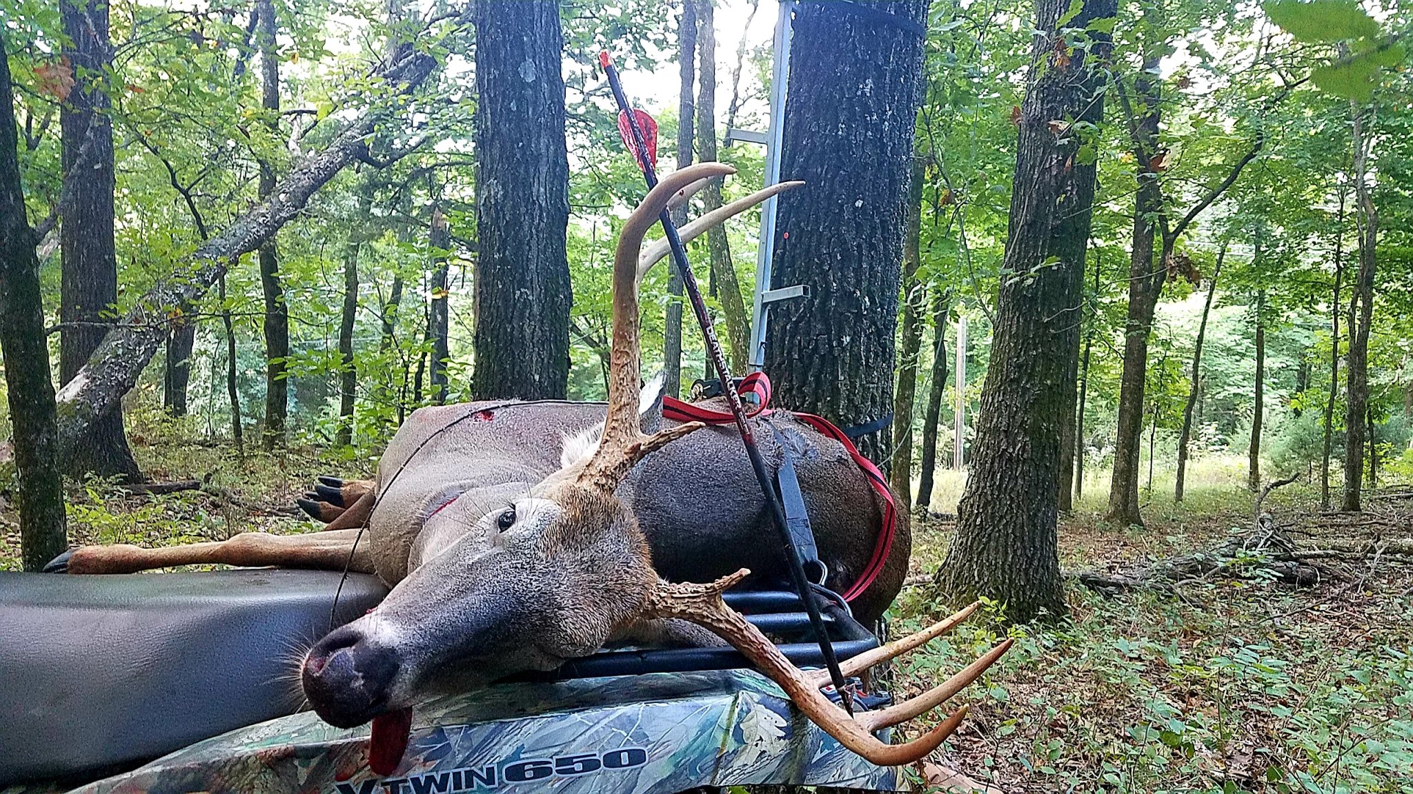 20181105_100929.jpg