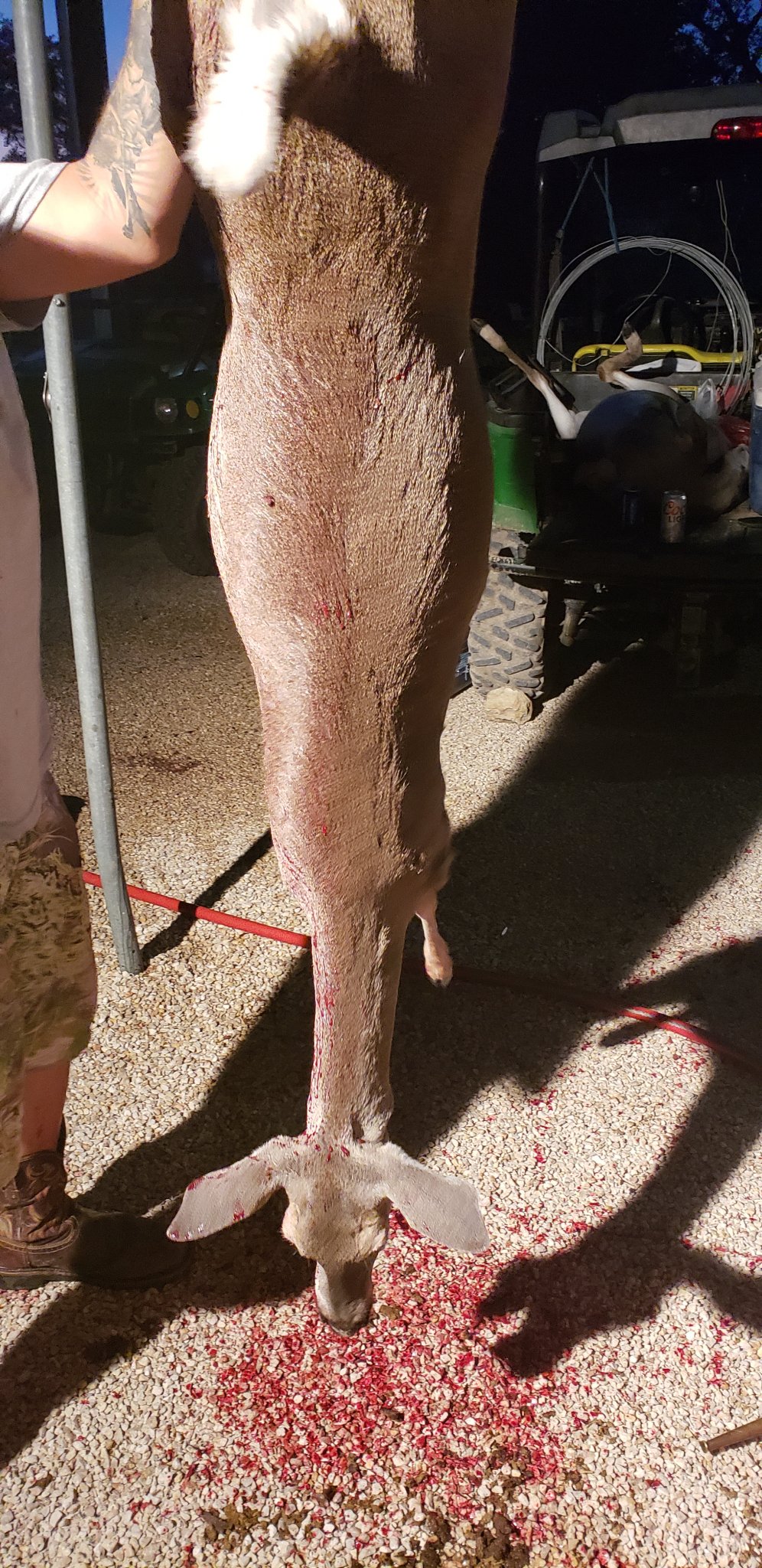 20181105_181120.jpg