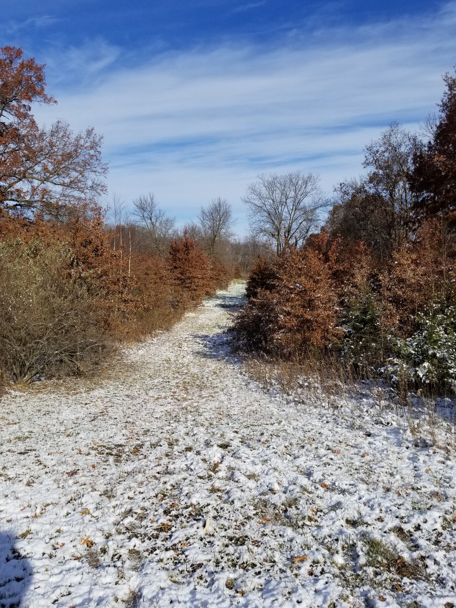 20181110_095317.jpg