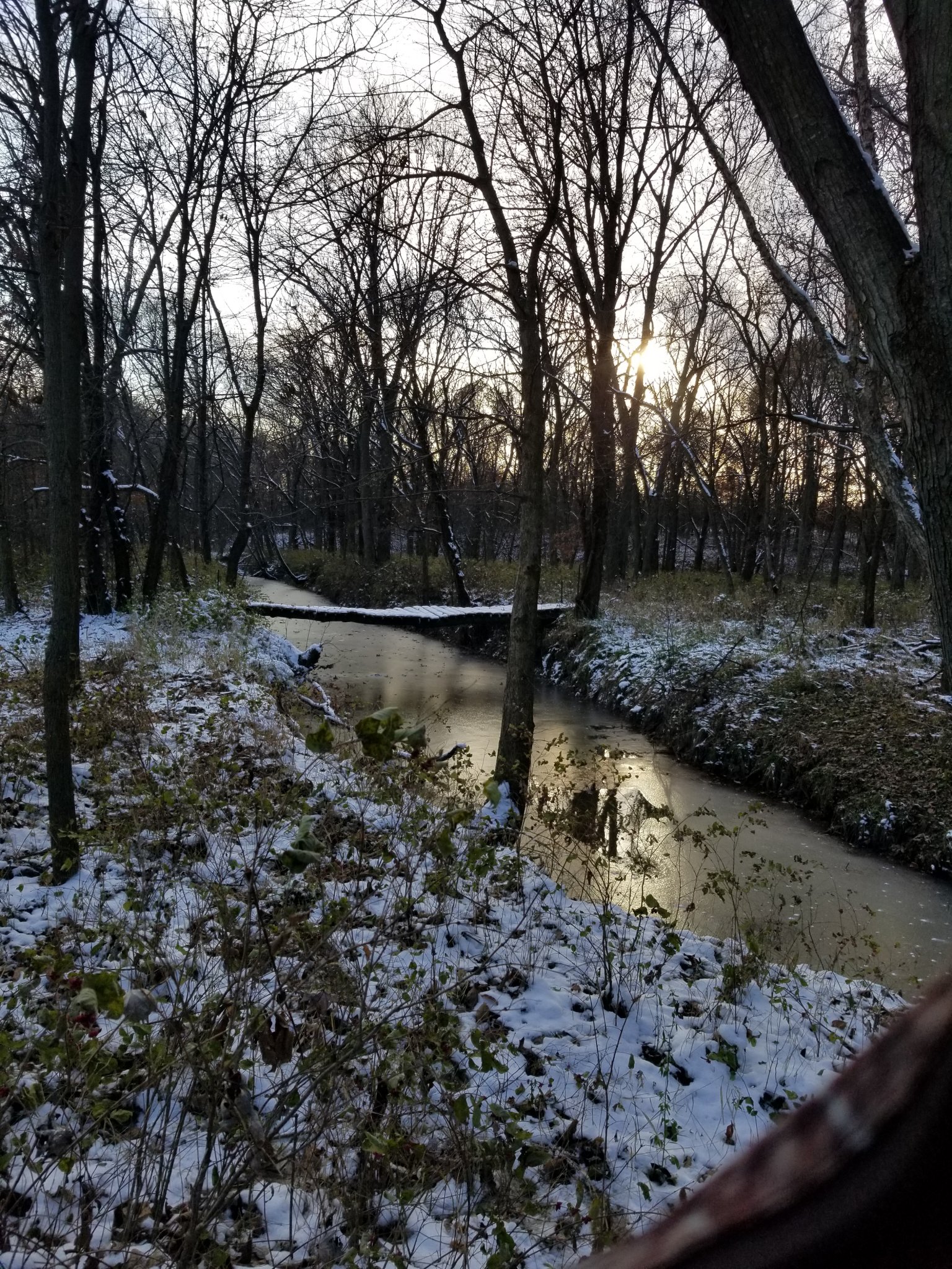 20181110_154741.jpg