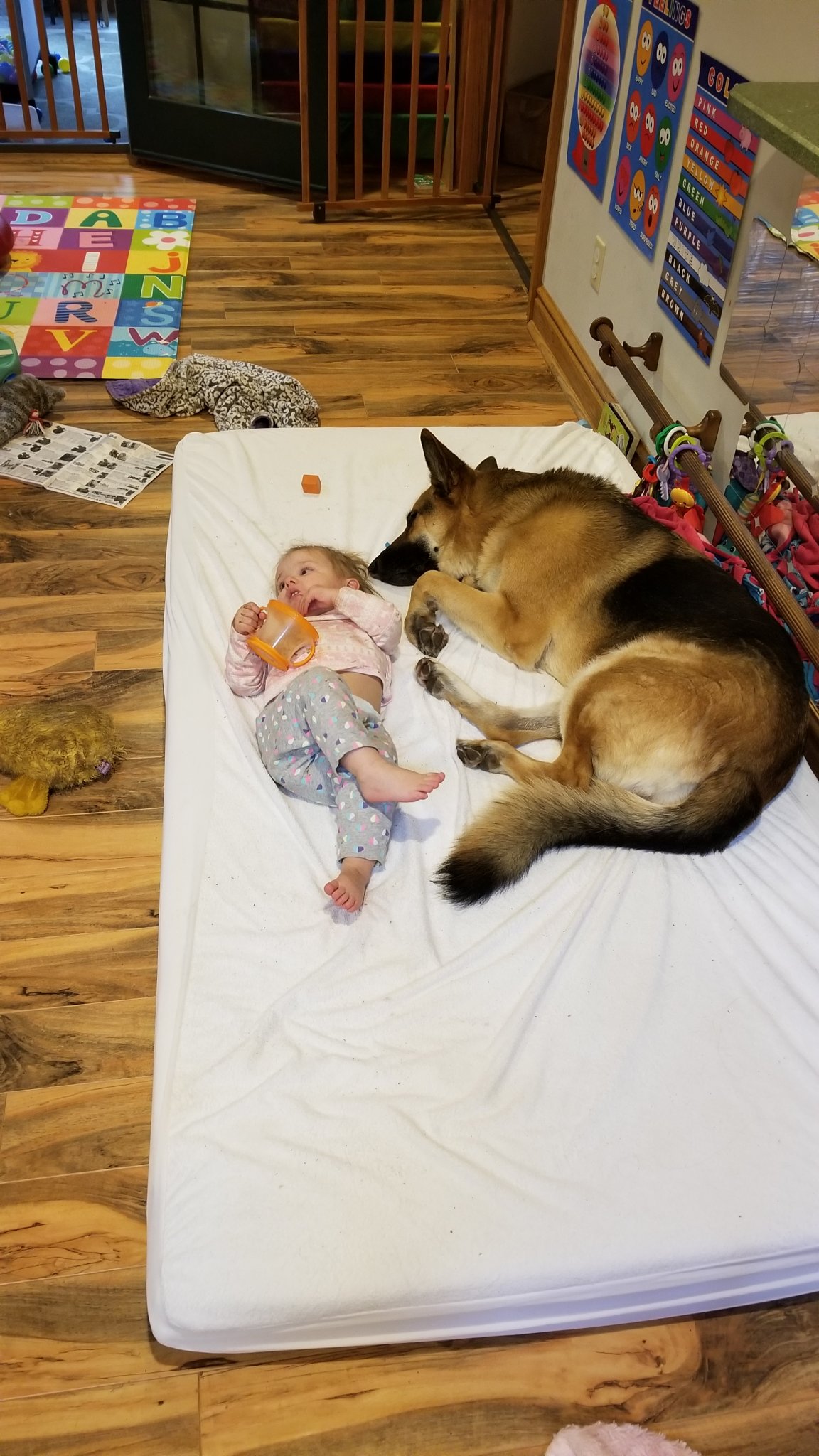 20181112_135628.jpg