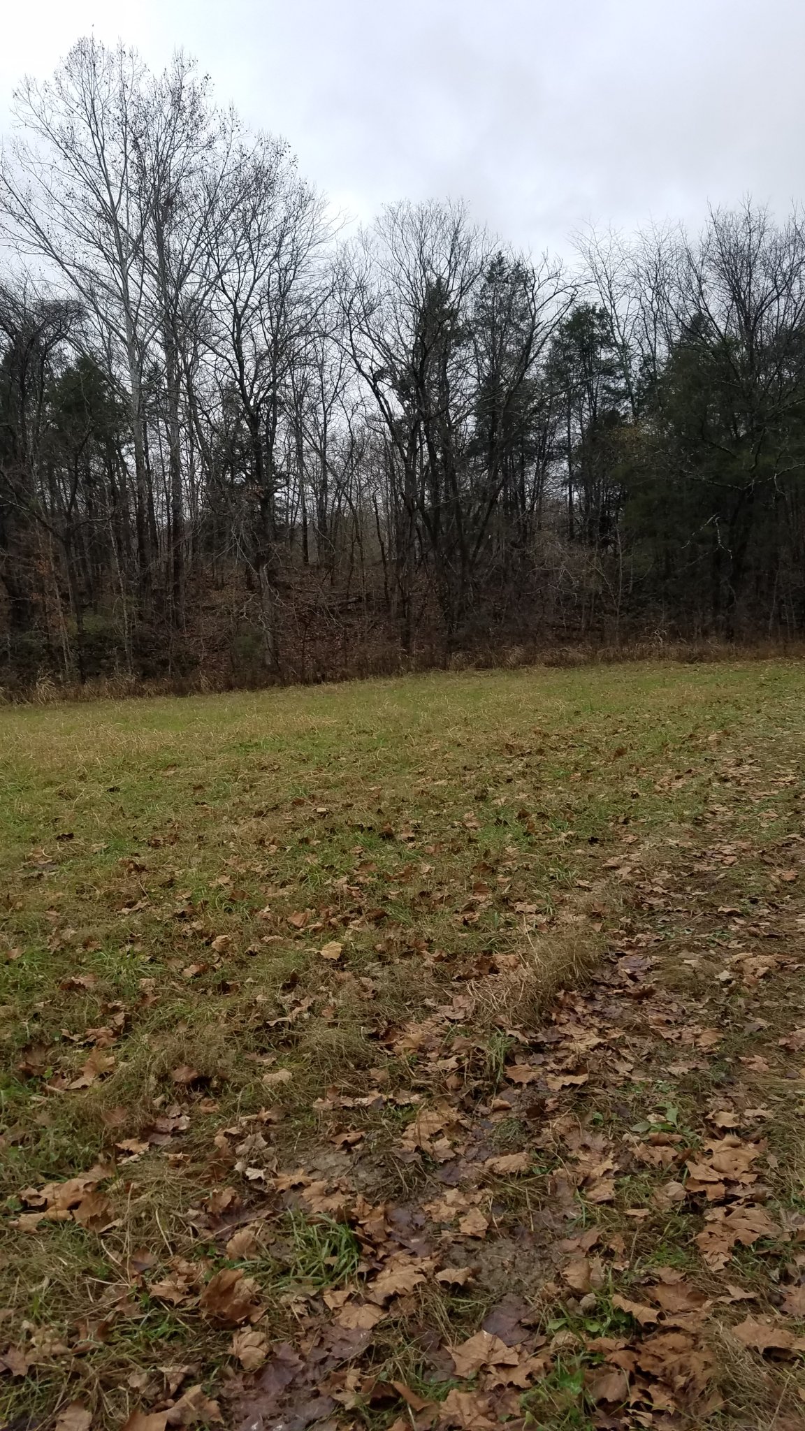 20181115_151029.jpg