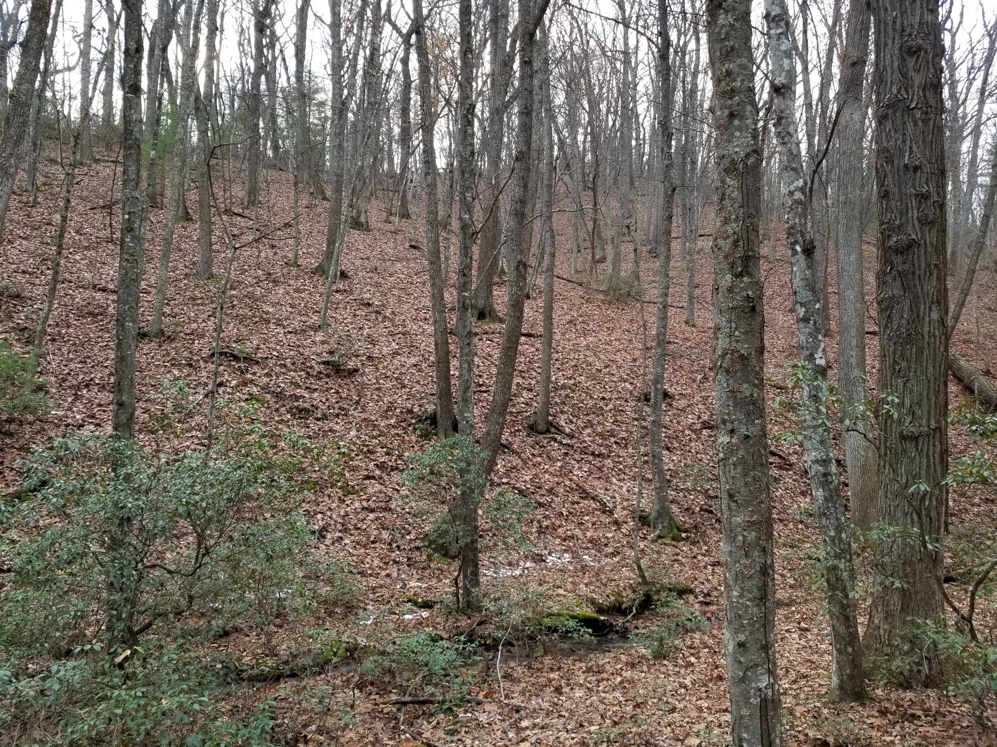 20181119_161816.jpg