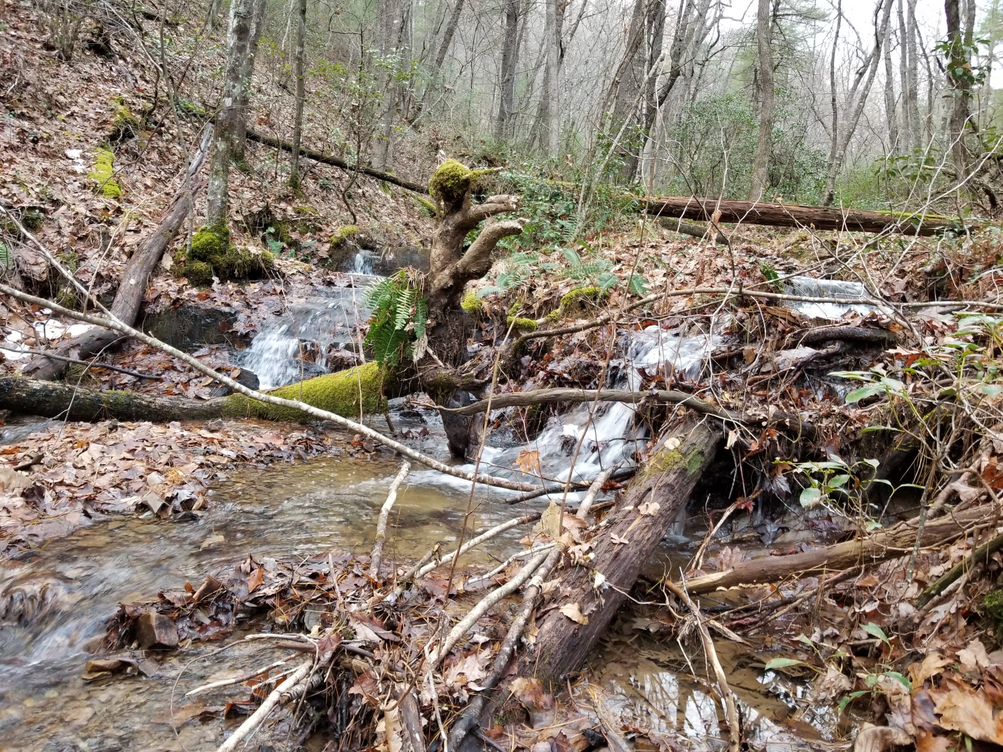 20181119_163140.jpg