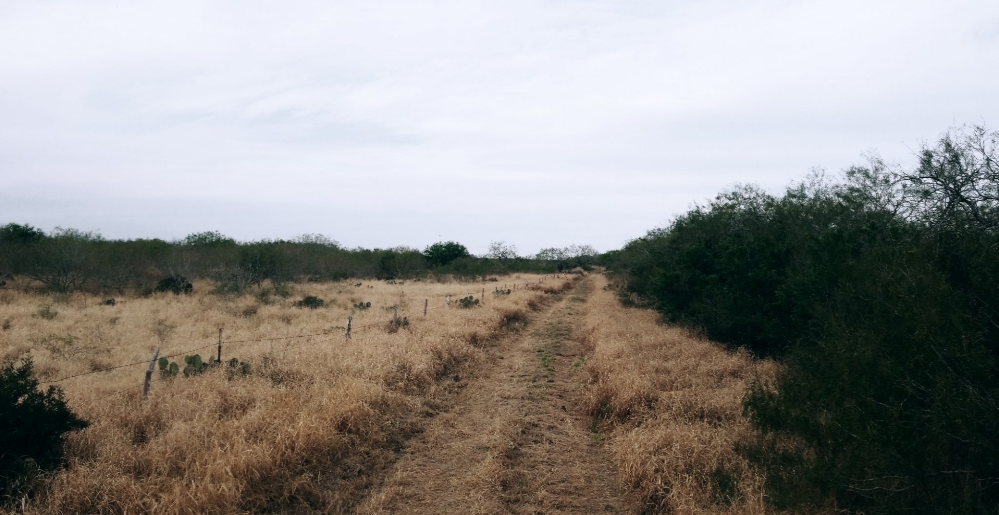 20181129_093022.jpg