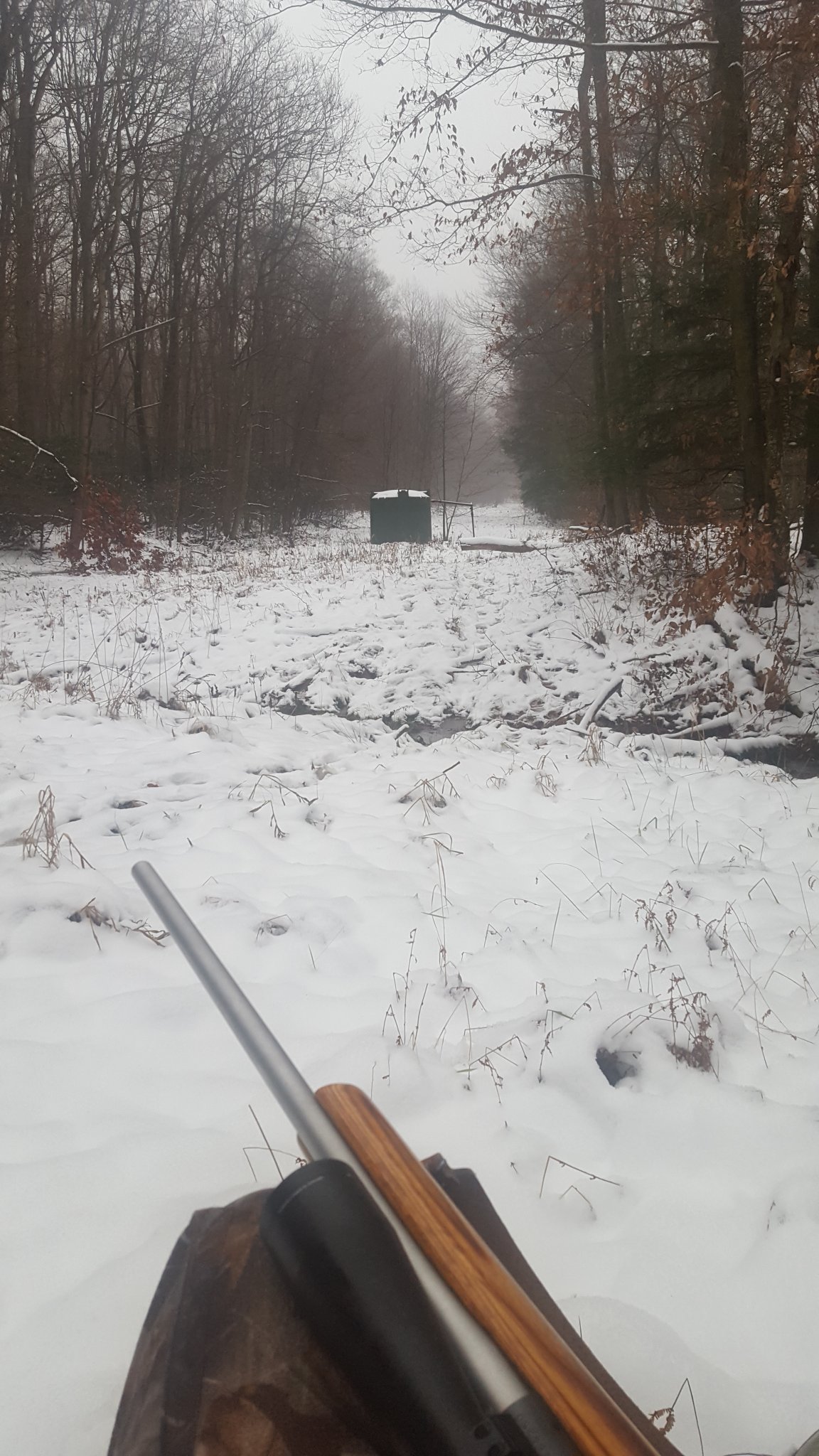 20181130_075012.jpg