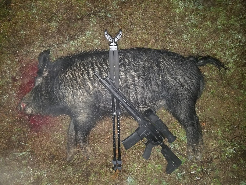 20181201 Boar Island2.jpg