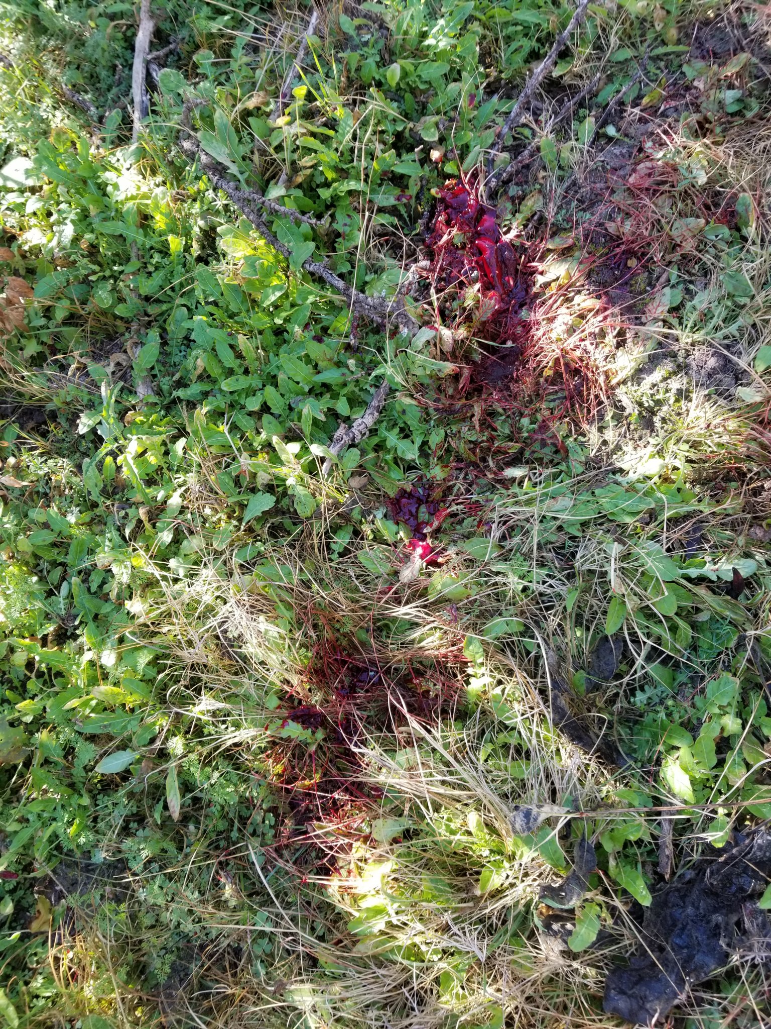 20181201_100857.jpg