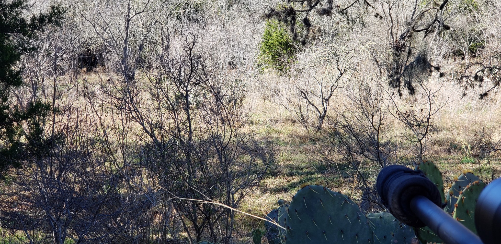 20181201_144234.jpg