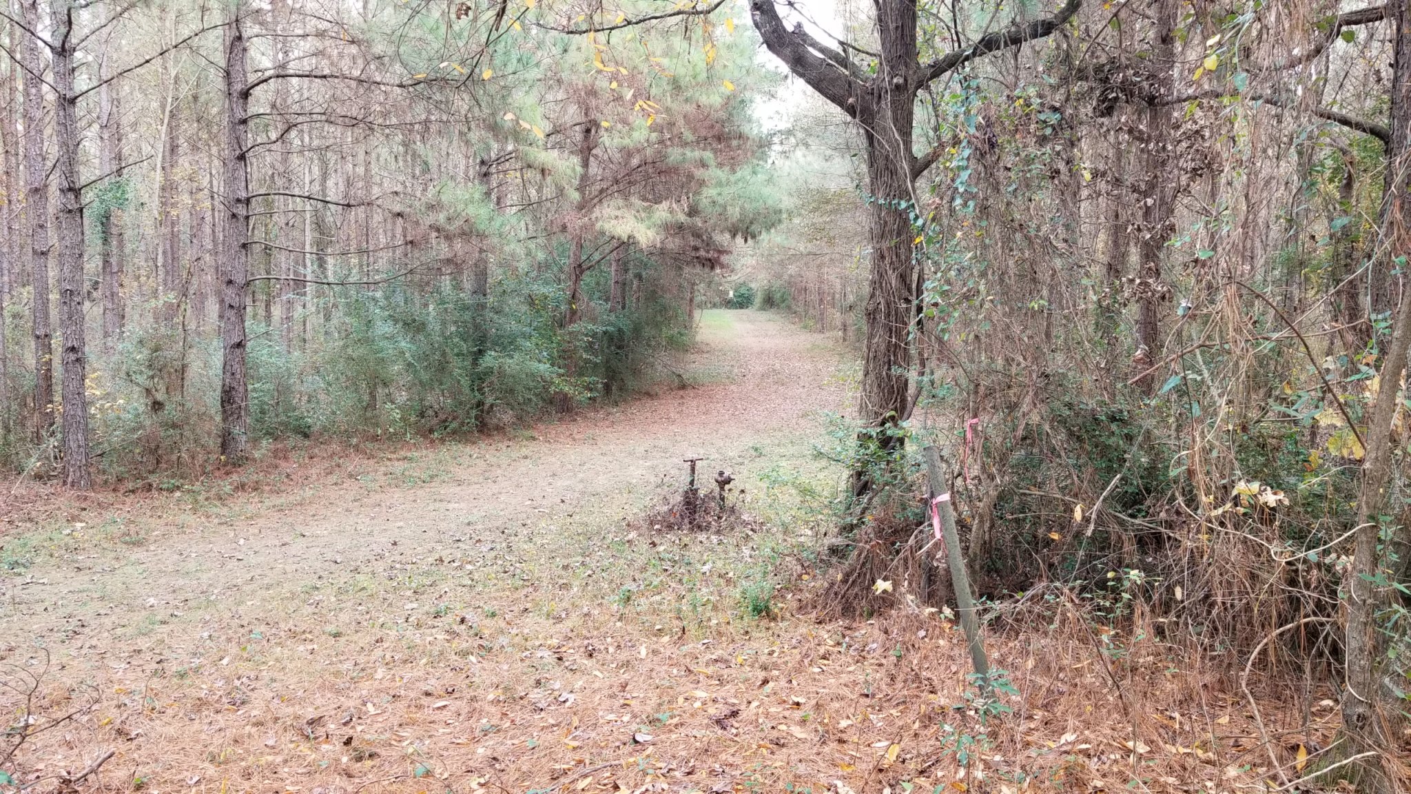 20181203_161847.jpg
