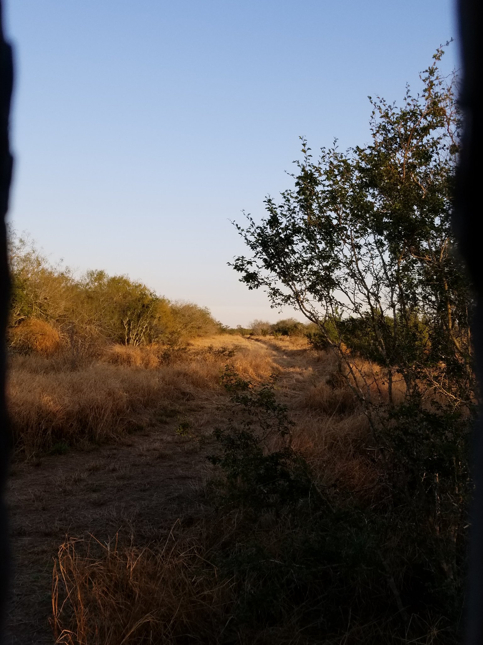 20181203_170406.jpg