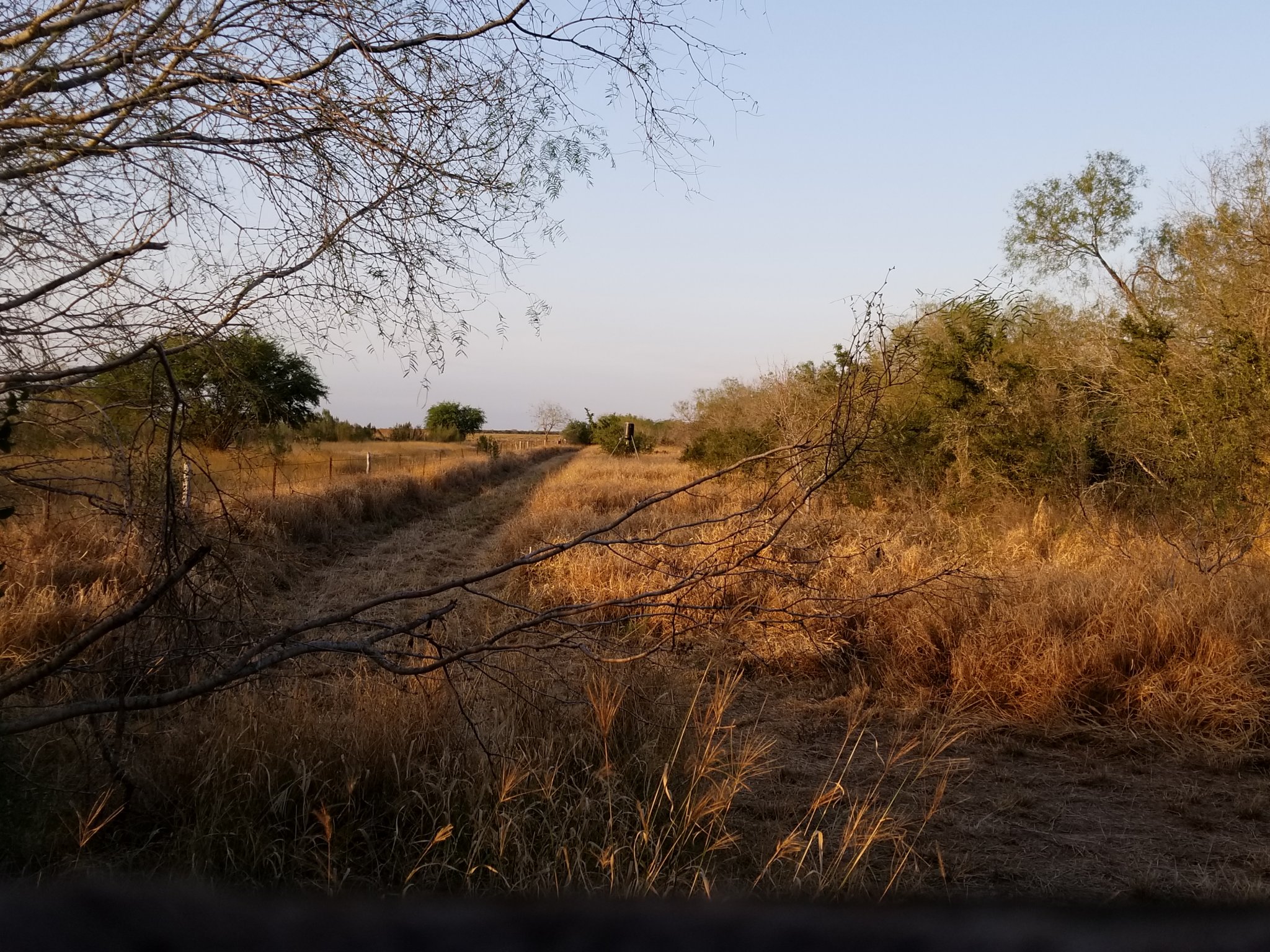 20181203_170418.jpg