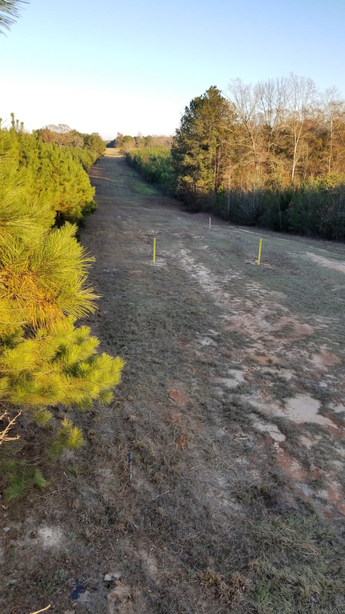 20181204_161743.jpg