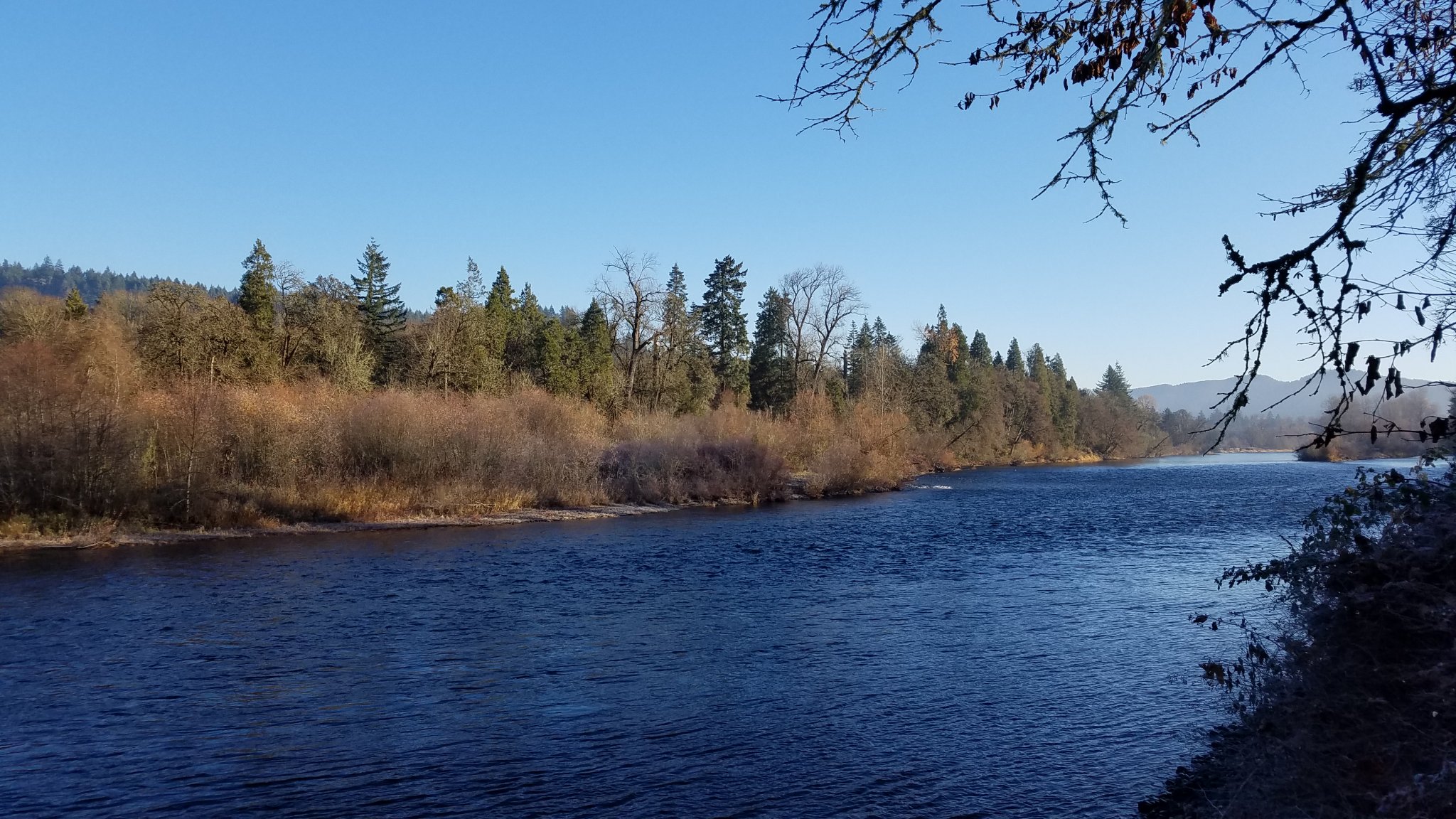 20181205_090925.jpg