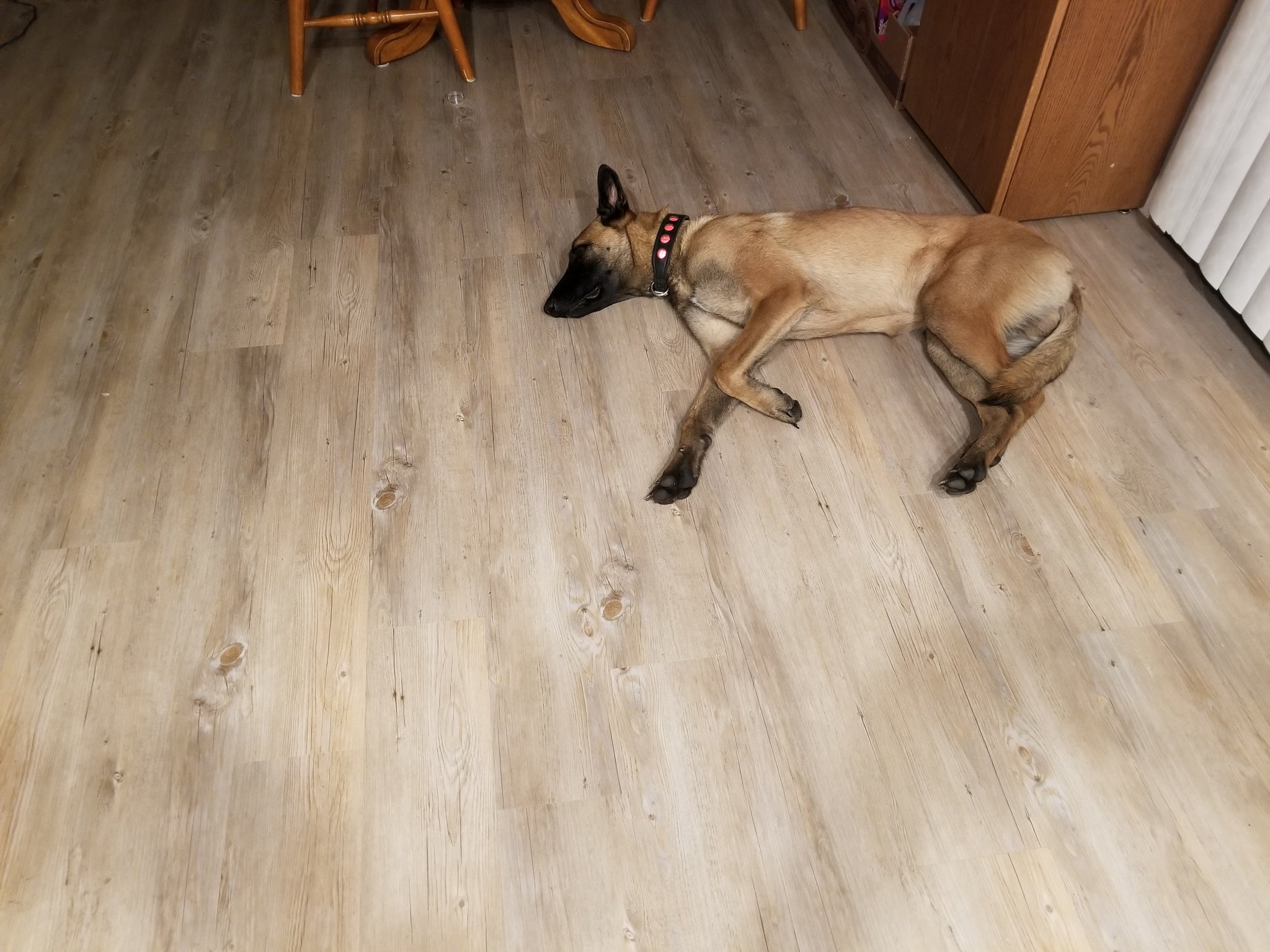 20181206_174324.jpg