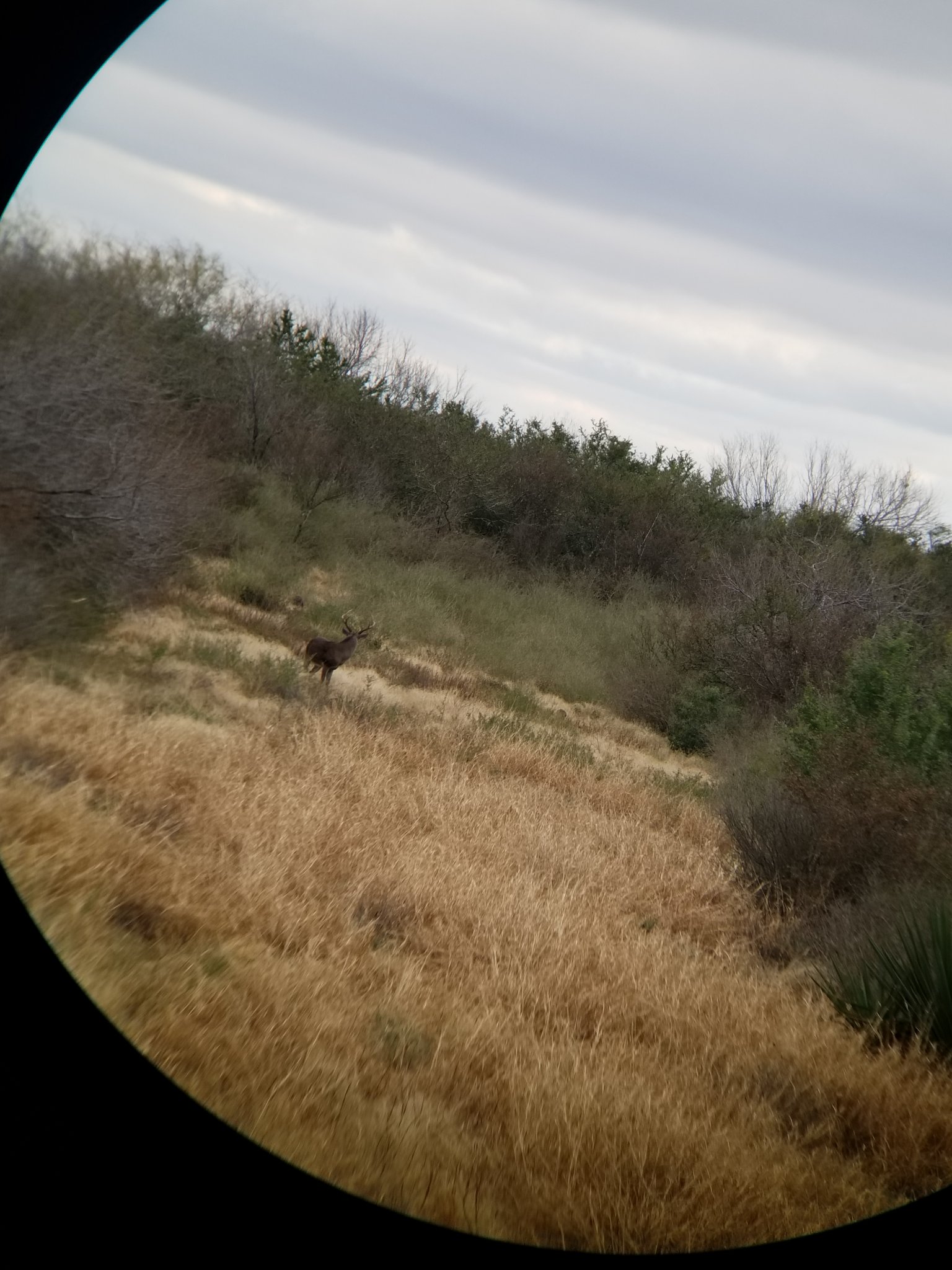 20181208_133810.jpg