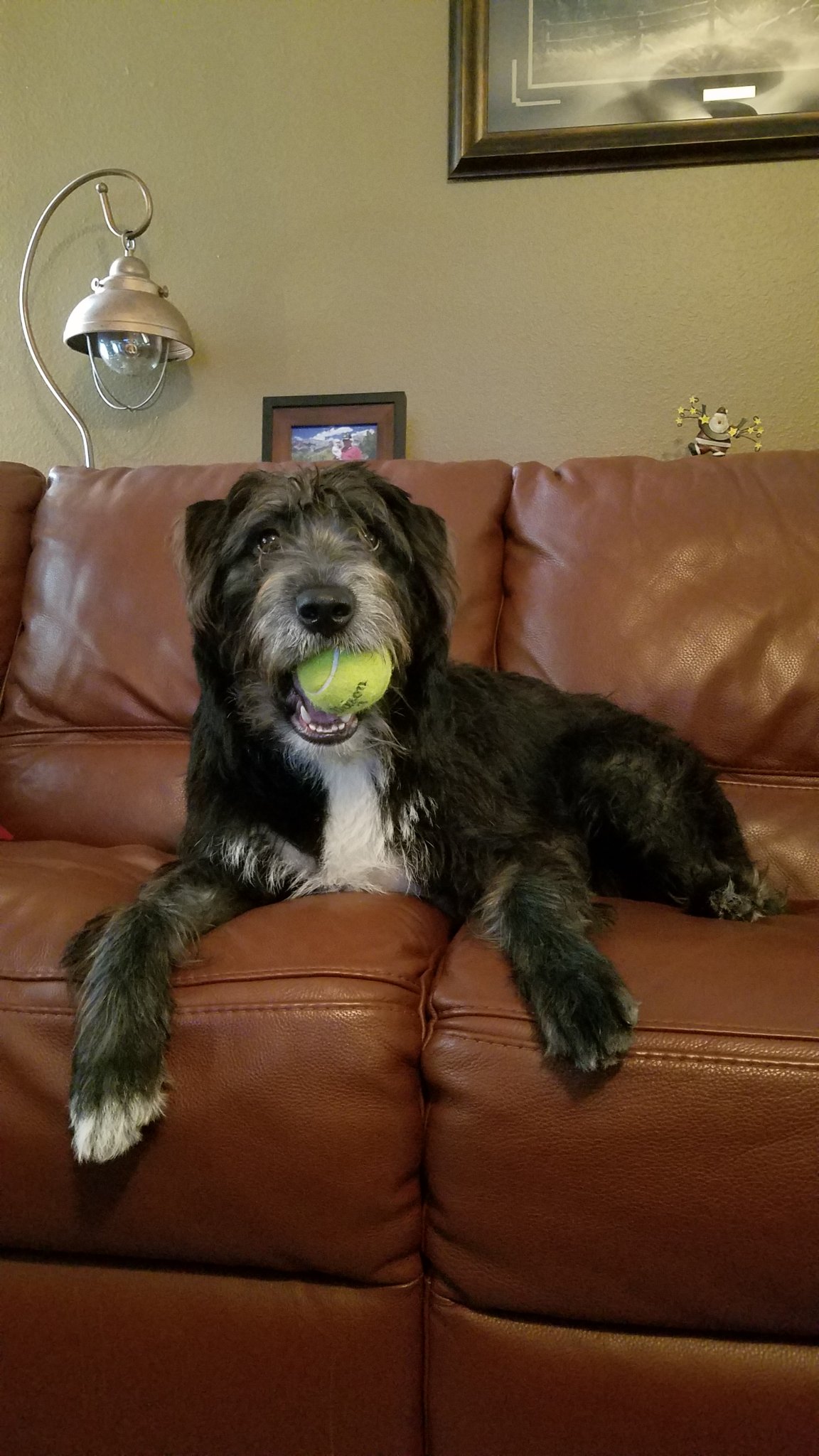 20181208_142328.jpg