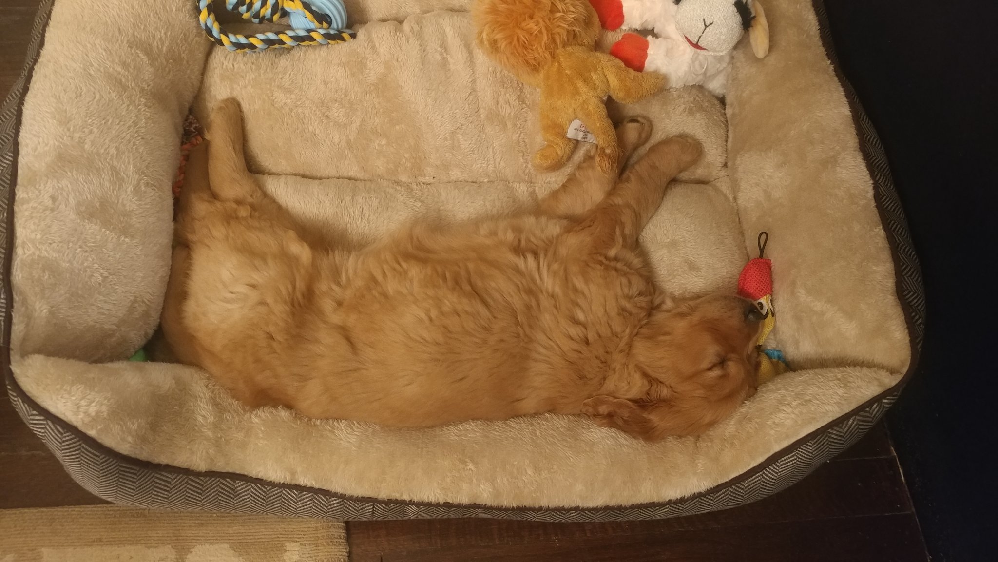 20181209_174535.jpg