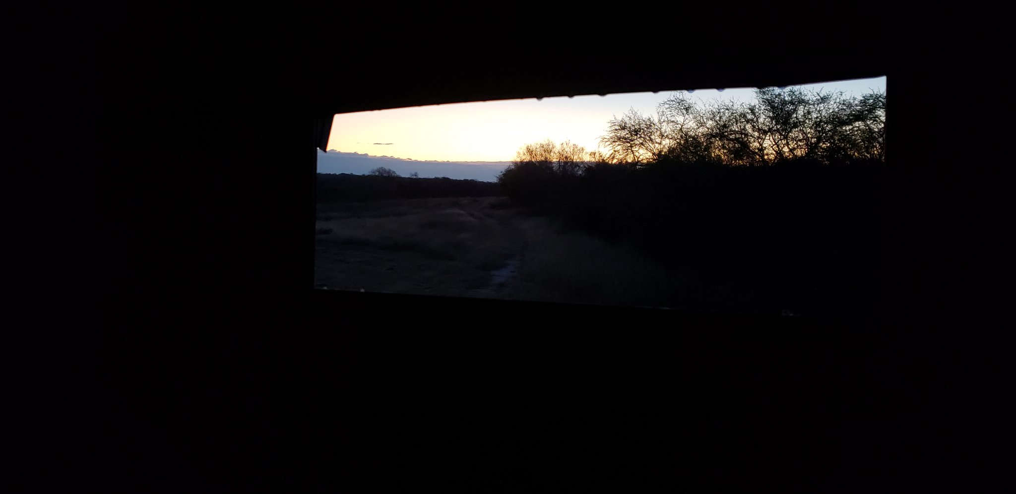 20181213_065239.jpg