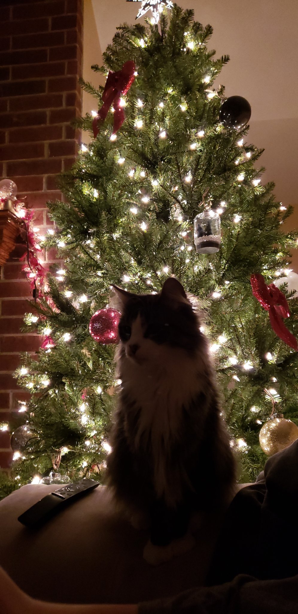 20181214_183148.jpg