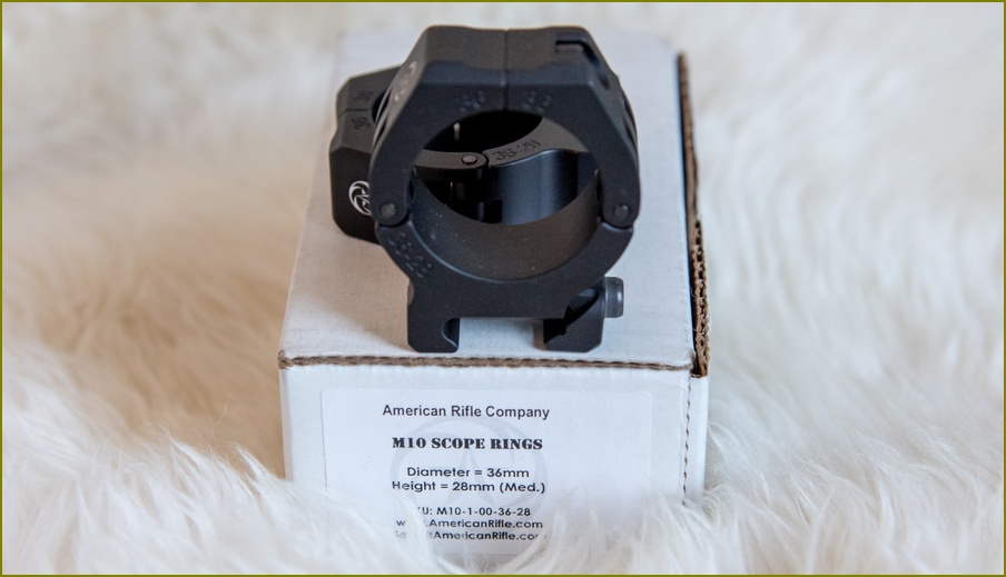 20181218_ARC_M10_36mm_28-Med_0001.jpg