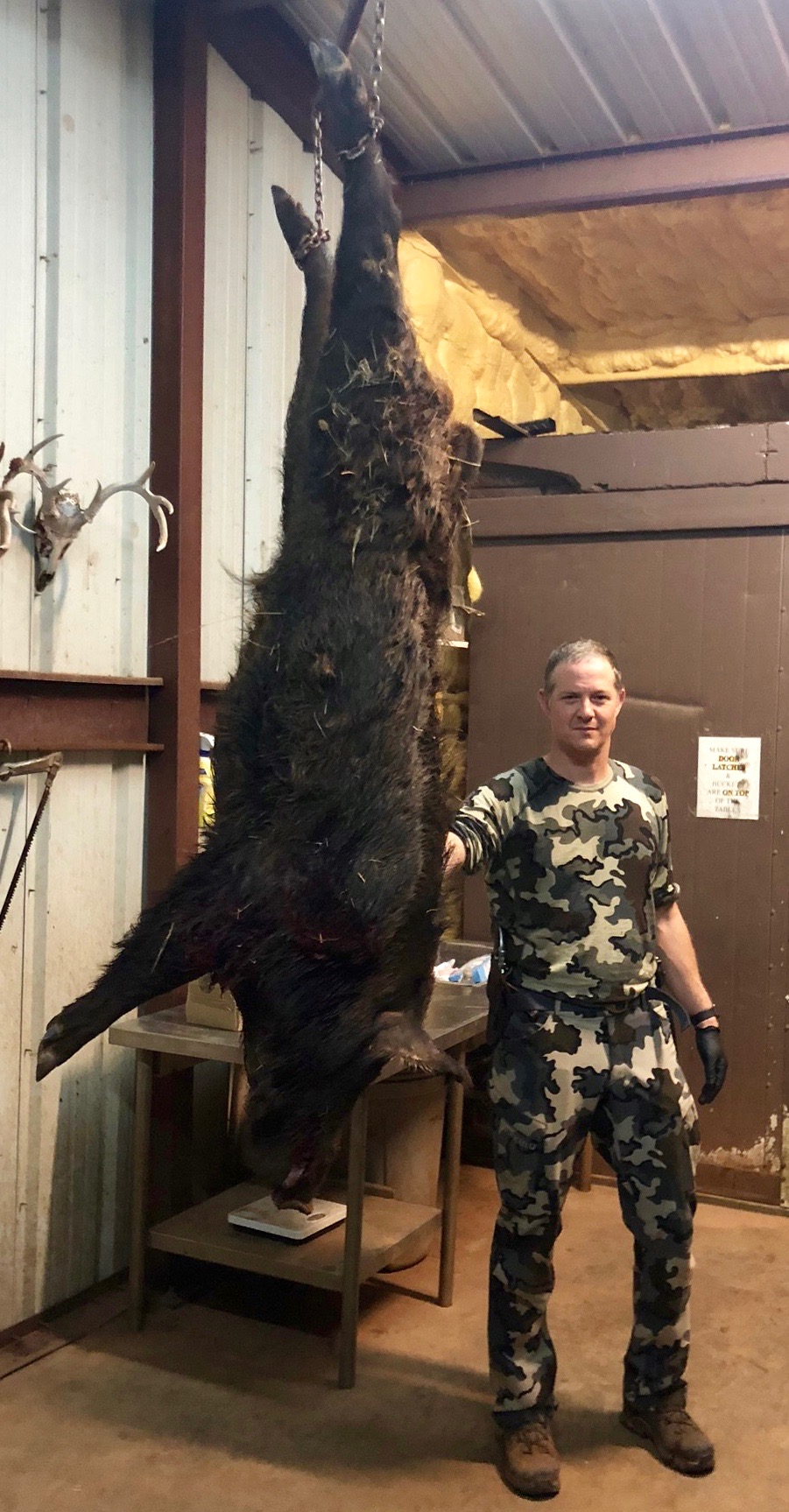 2019 Texas Hoggin’ - 12 of 19.jpg