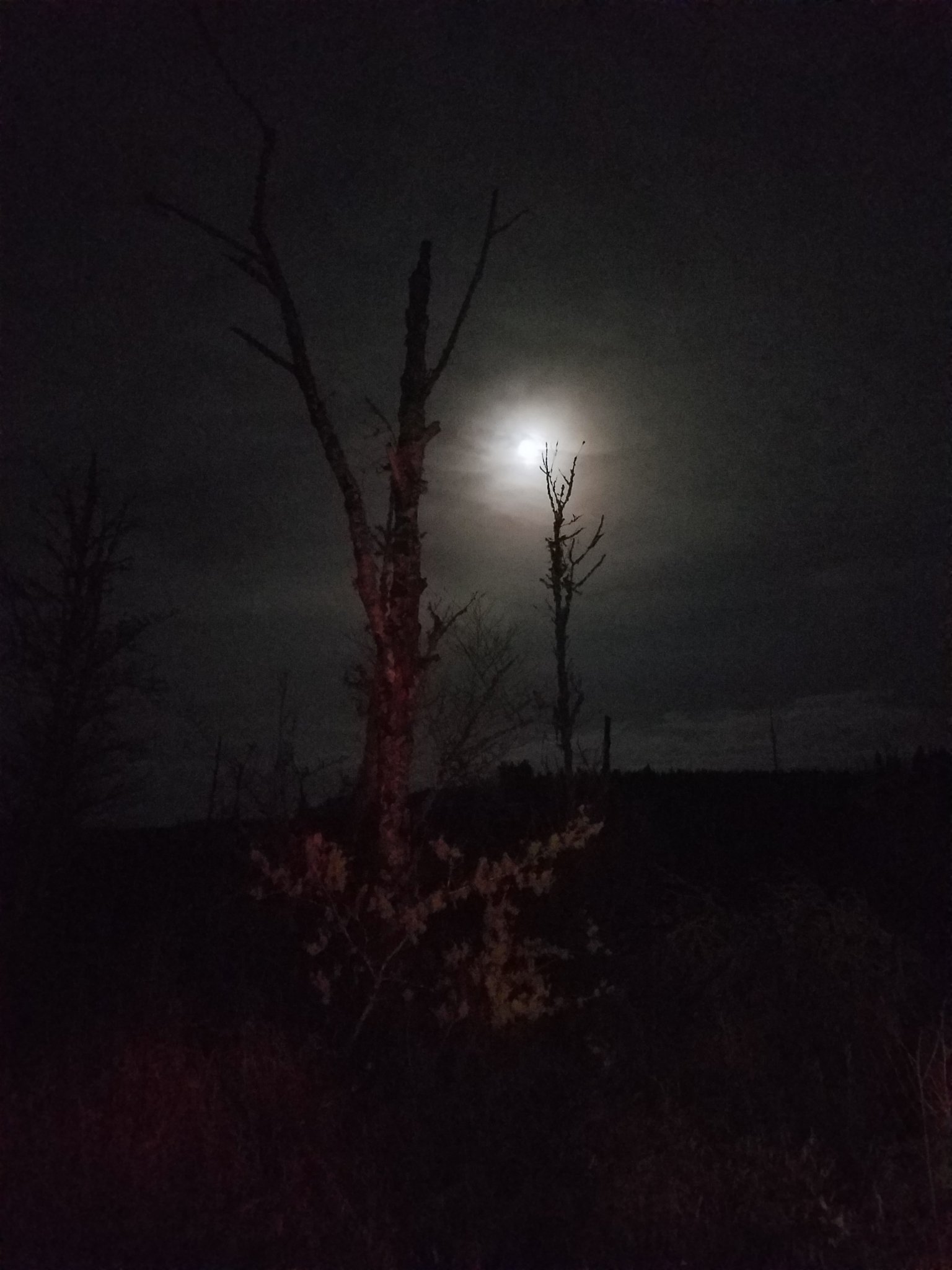 20190125_003558.jpg