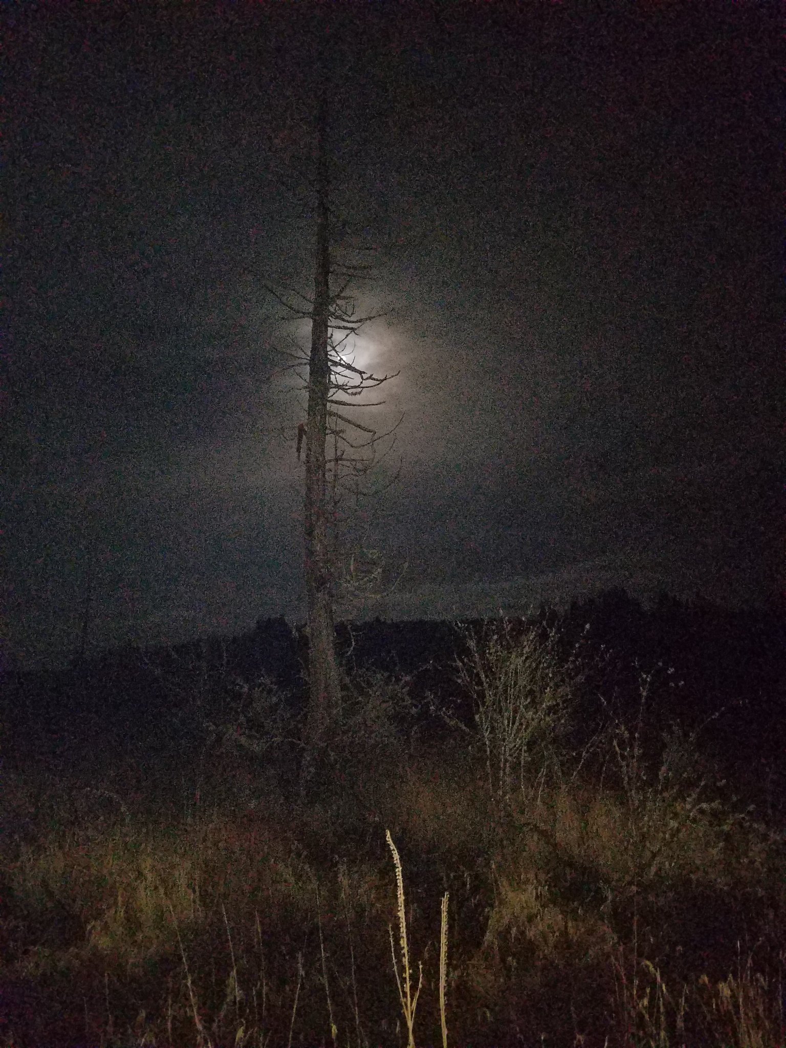 20190125_003736.jpg
