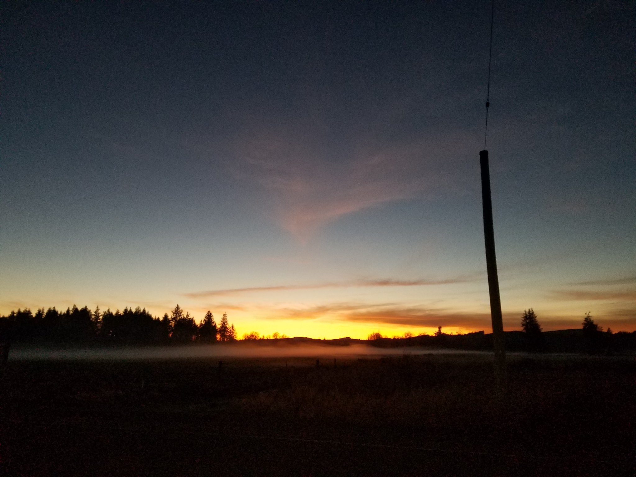 20190125_175035.jpg