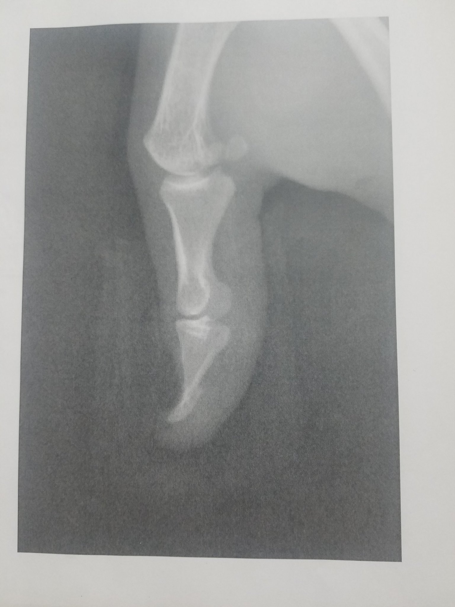20190201_074309.jpg