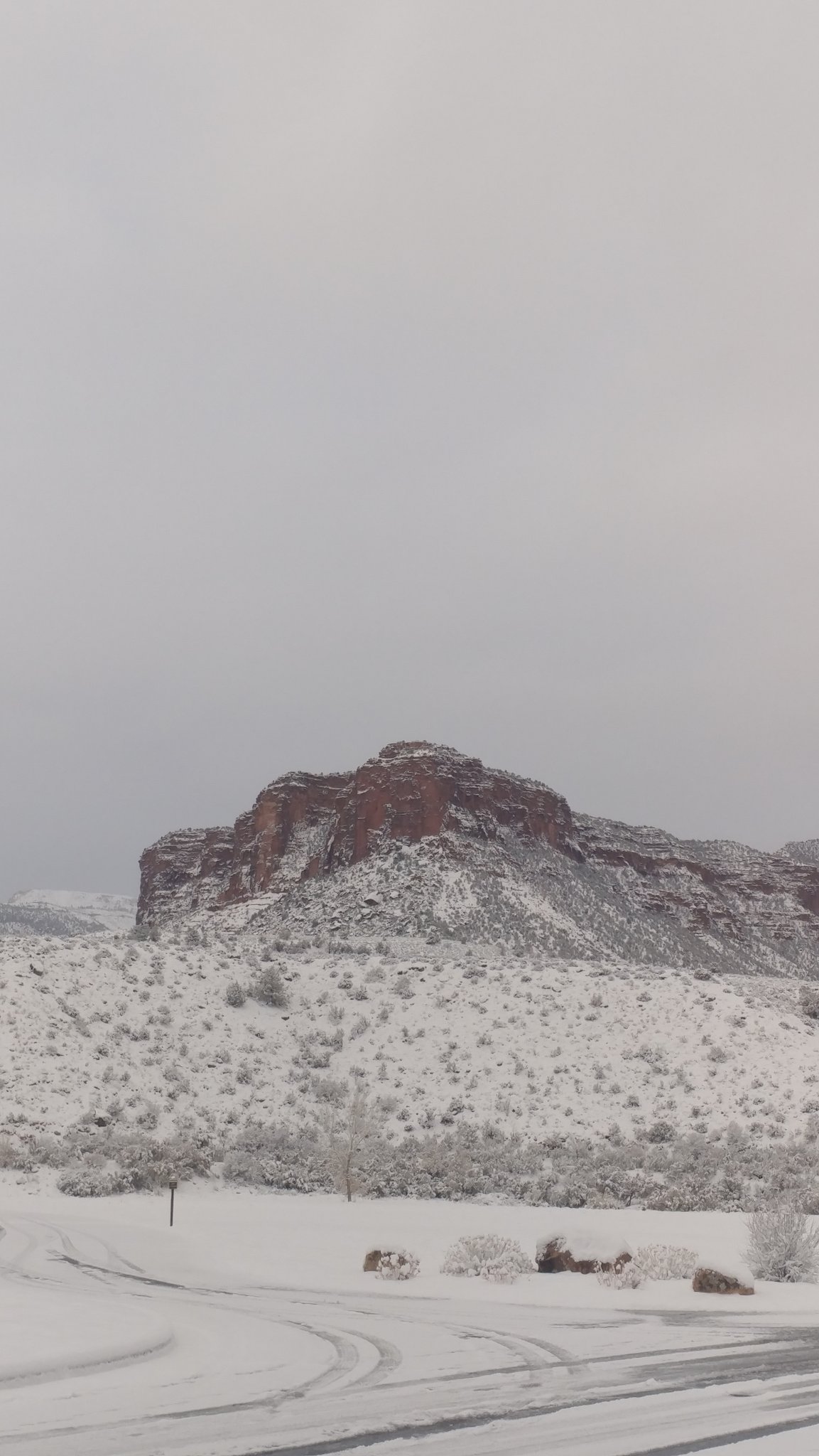 20190218_075909.jpg