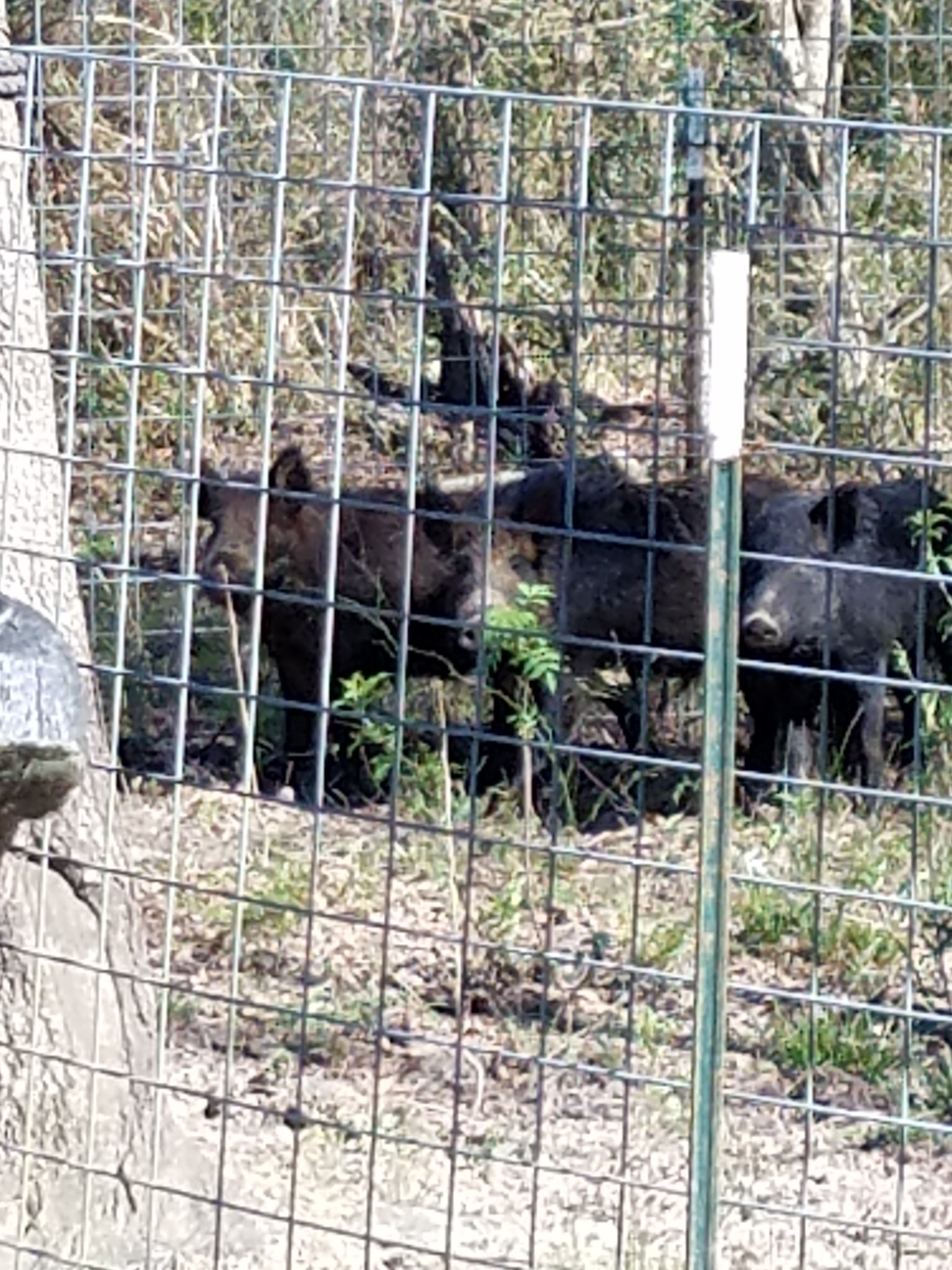 20190305_134815.jpg