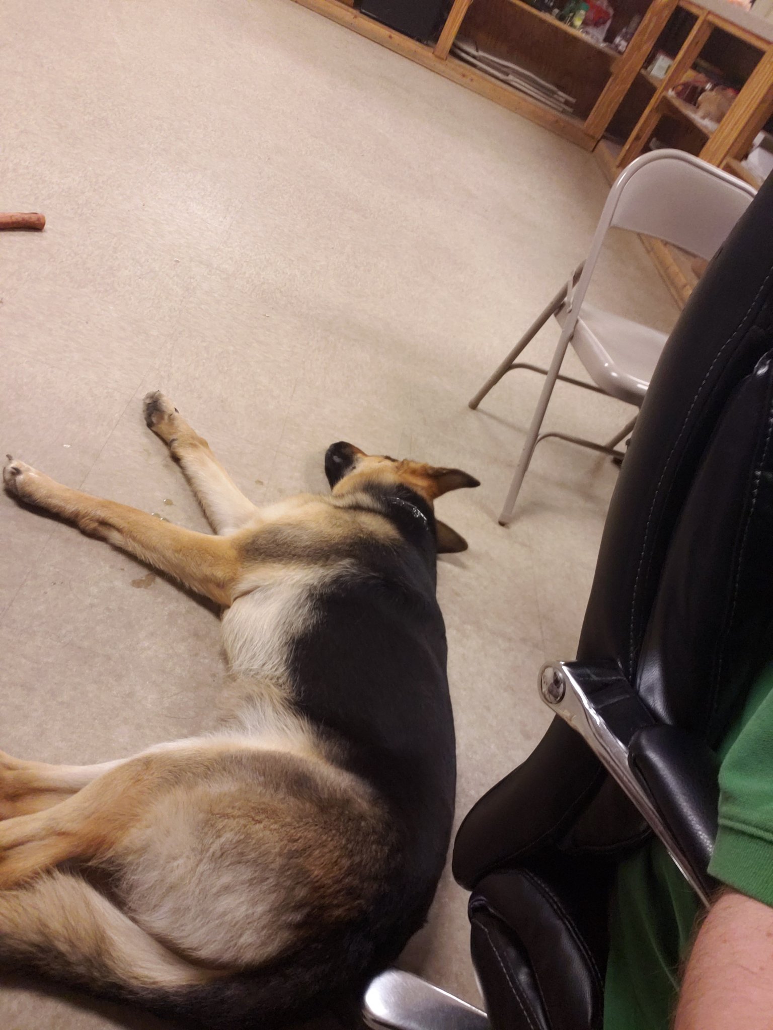 20190320_015238.jpg