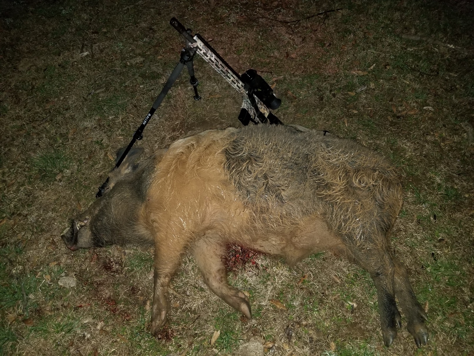 20190322 Boar Island.jpg