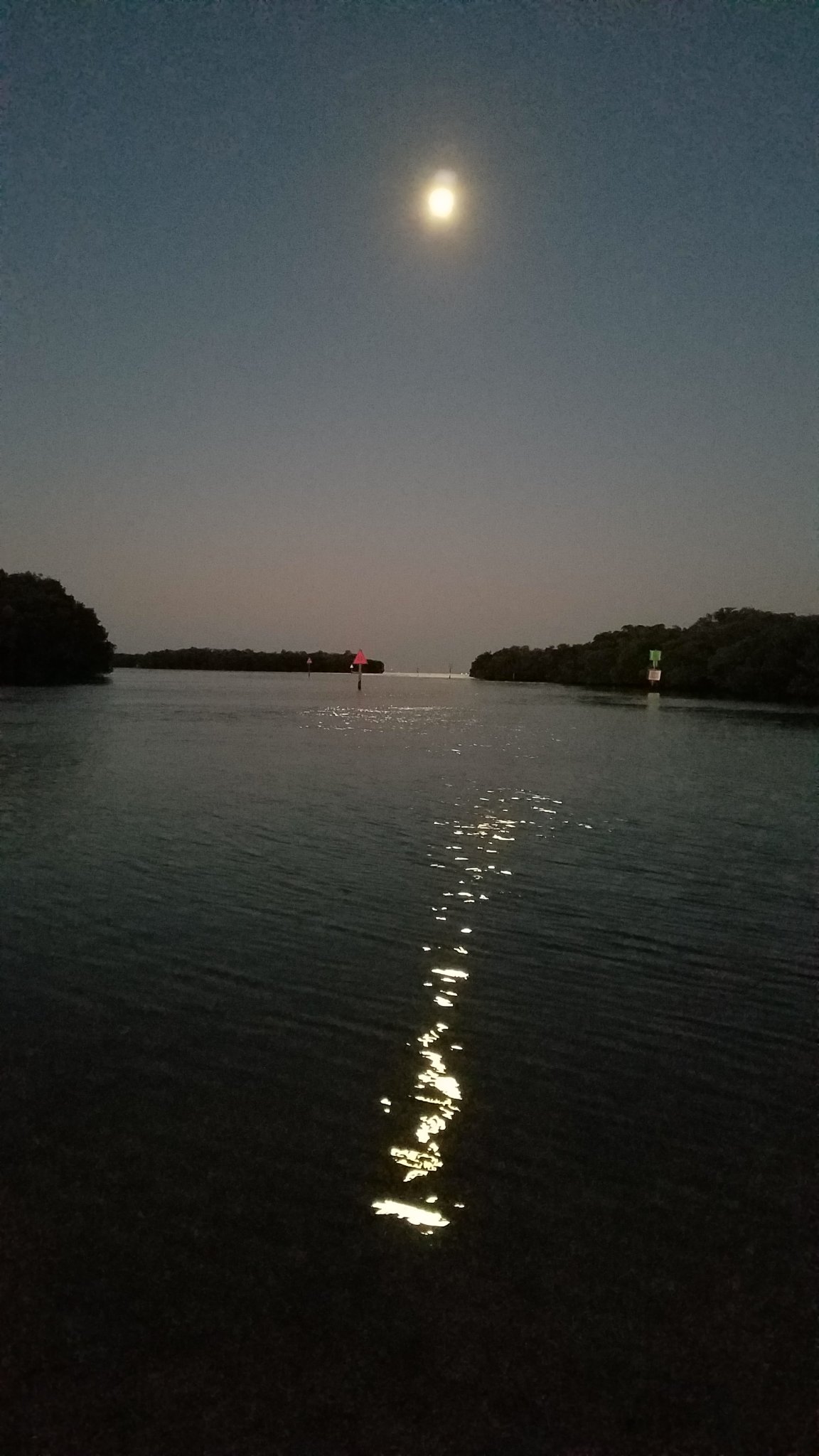 20190322_070336.jpg