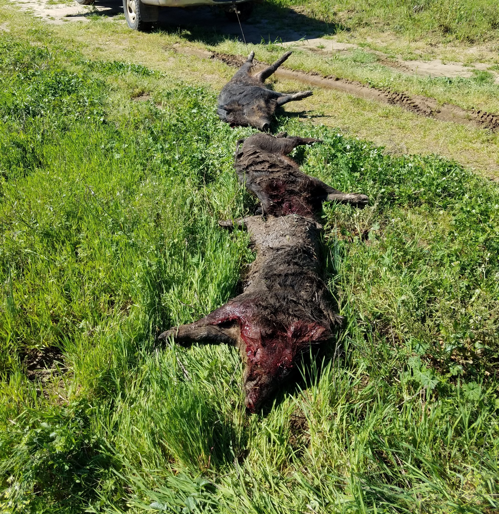 20190322_172022.jpg