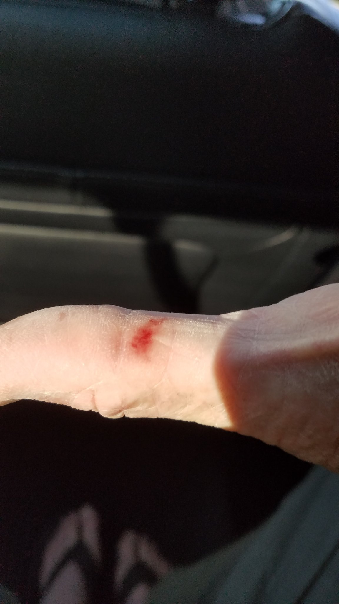 20190322_180321.jpg