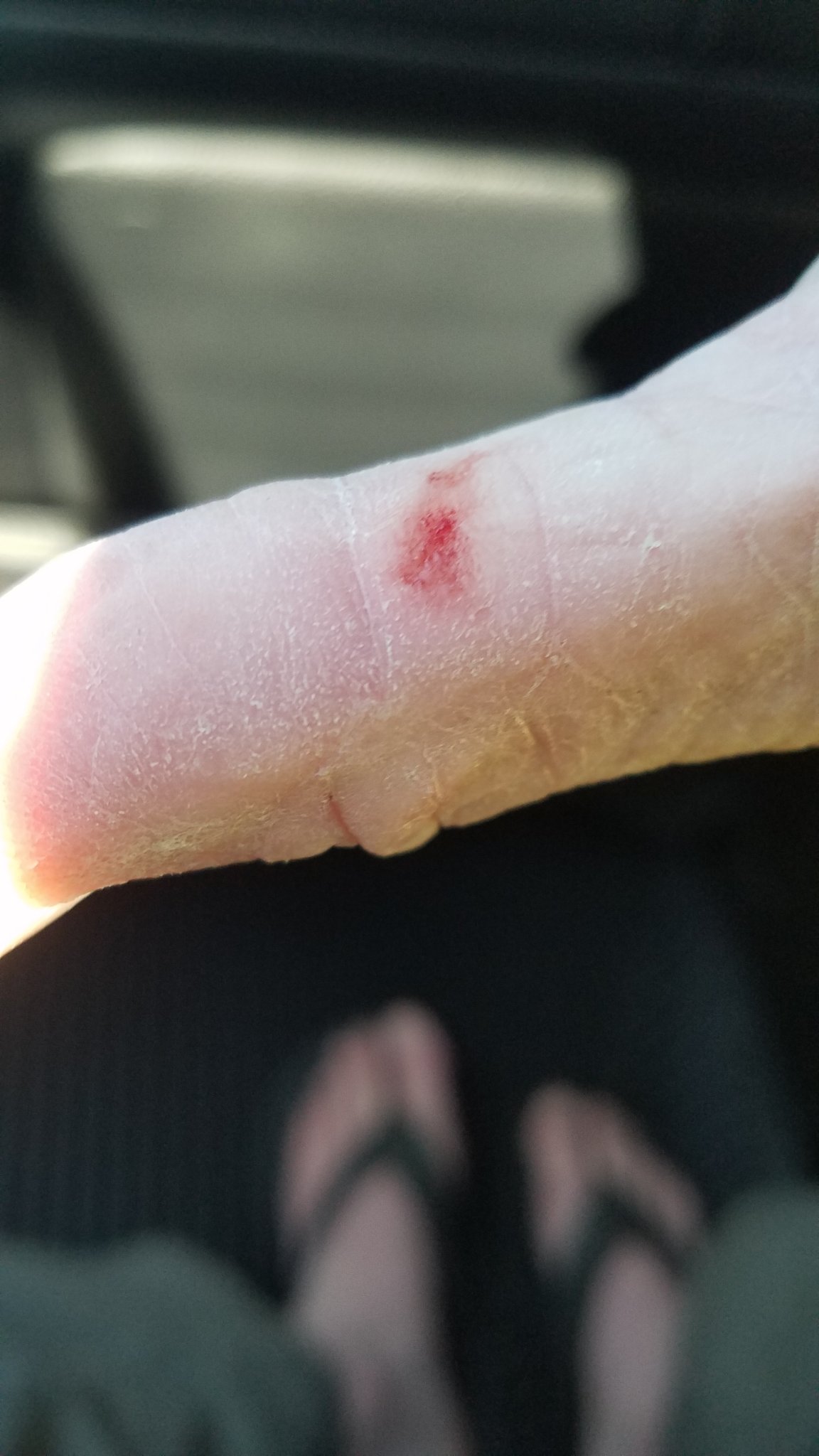 20190322_180521.jpg