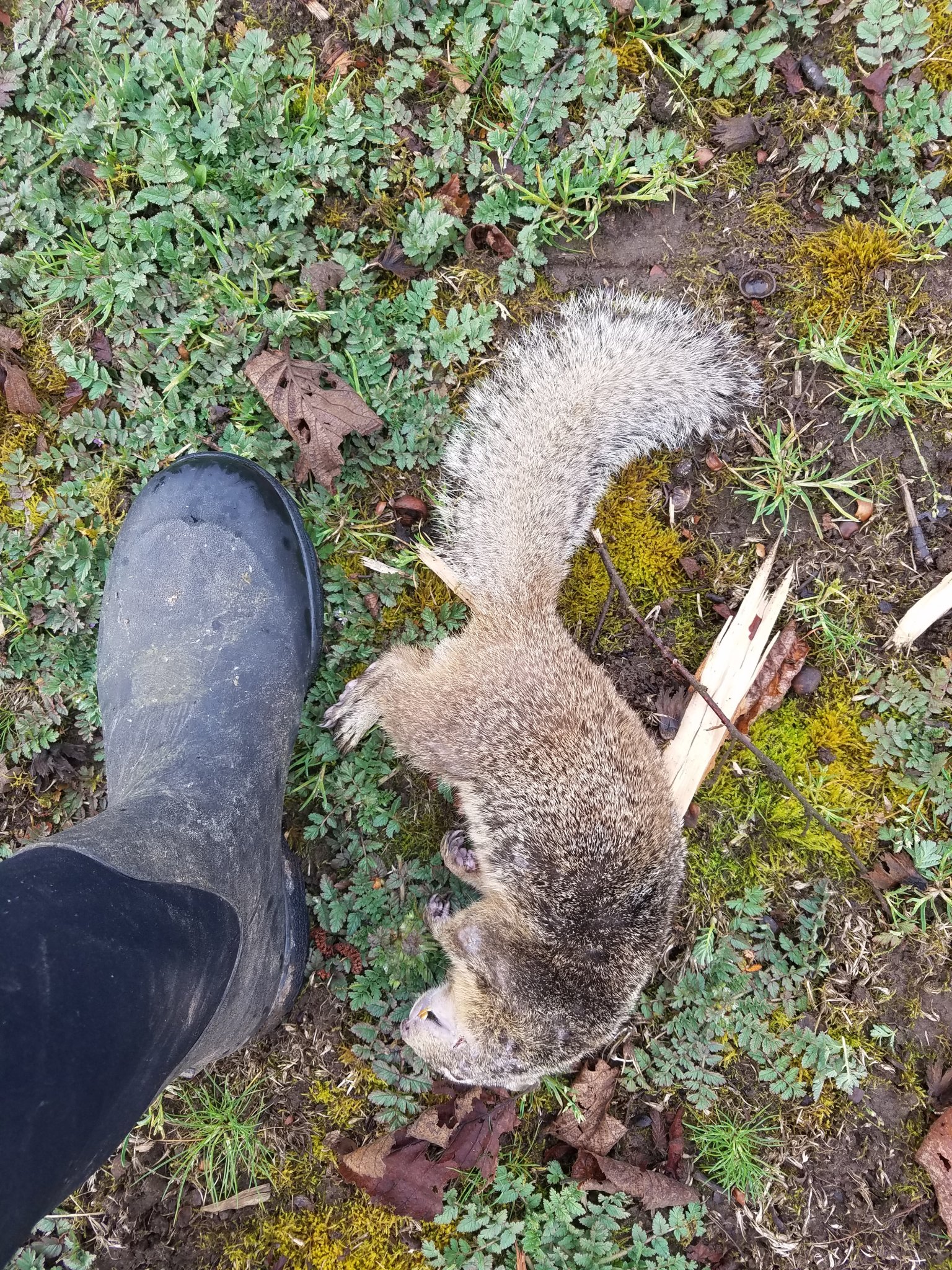 20190323_170754.jpg