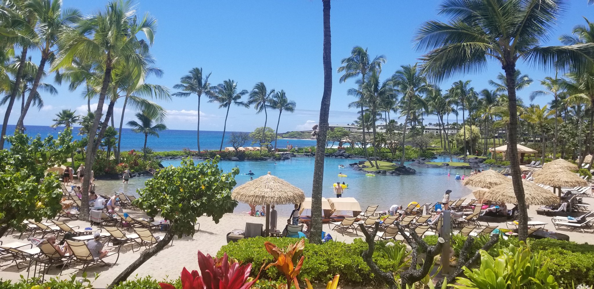 20190328_120038.jpg