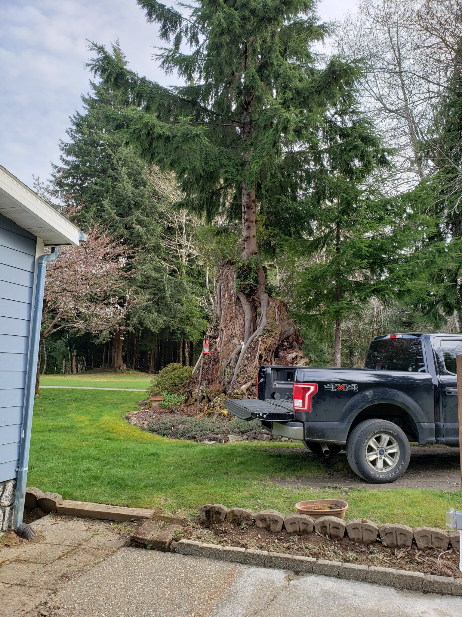 20190331_171047.jpg