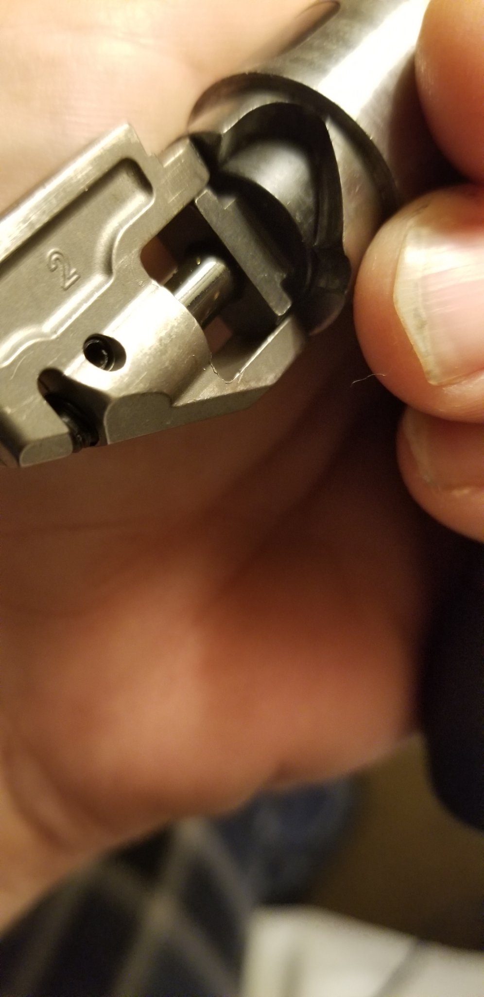 20190407_222323.jpg