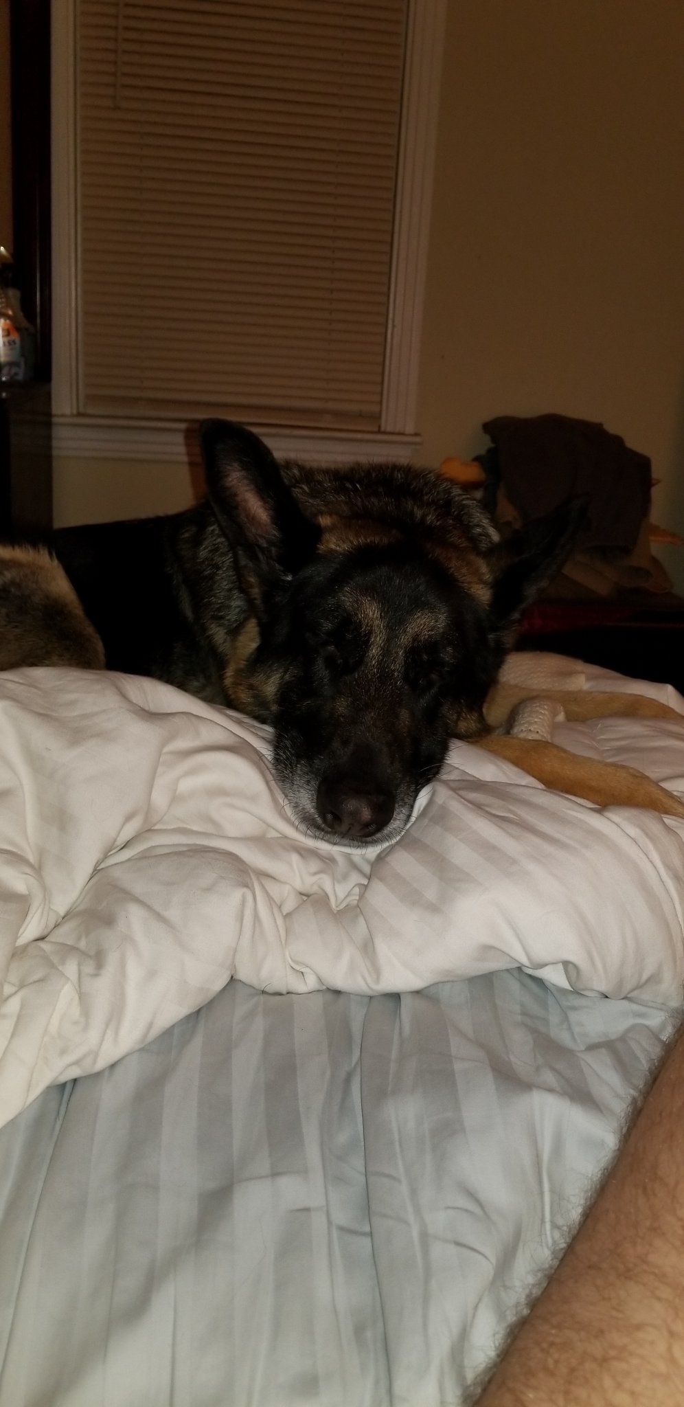 20190409_005703.jpg